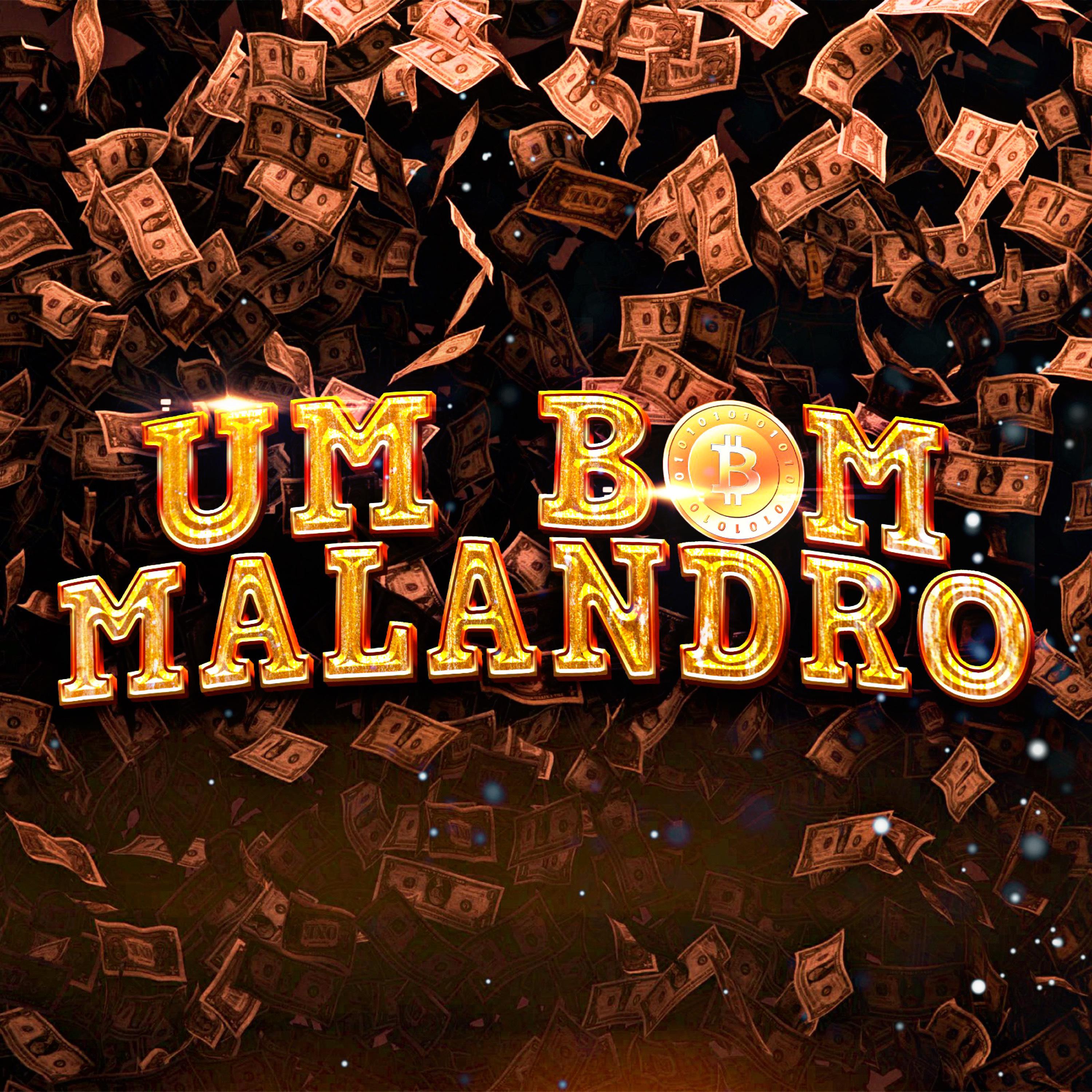 Постер альбома Um Bom Malandro