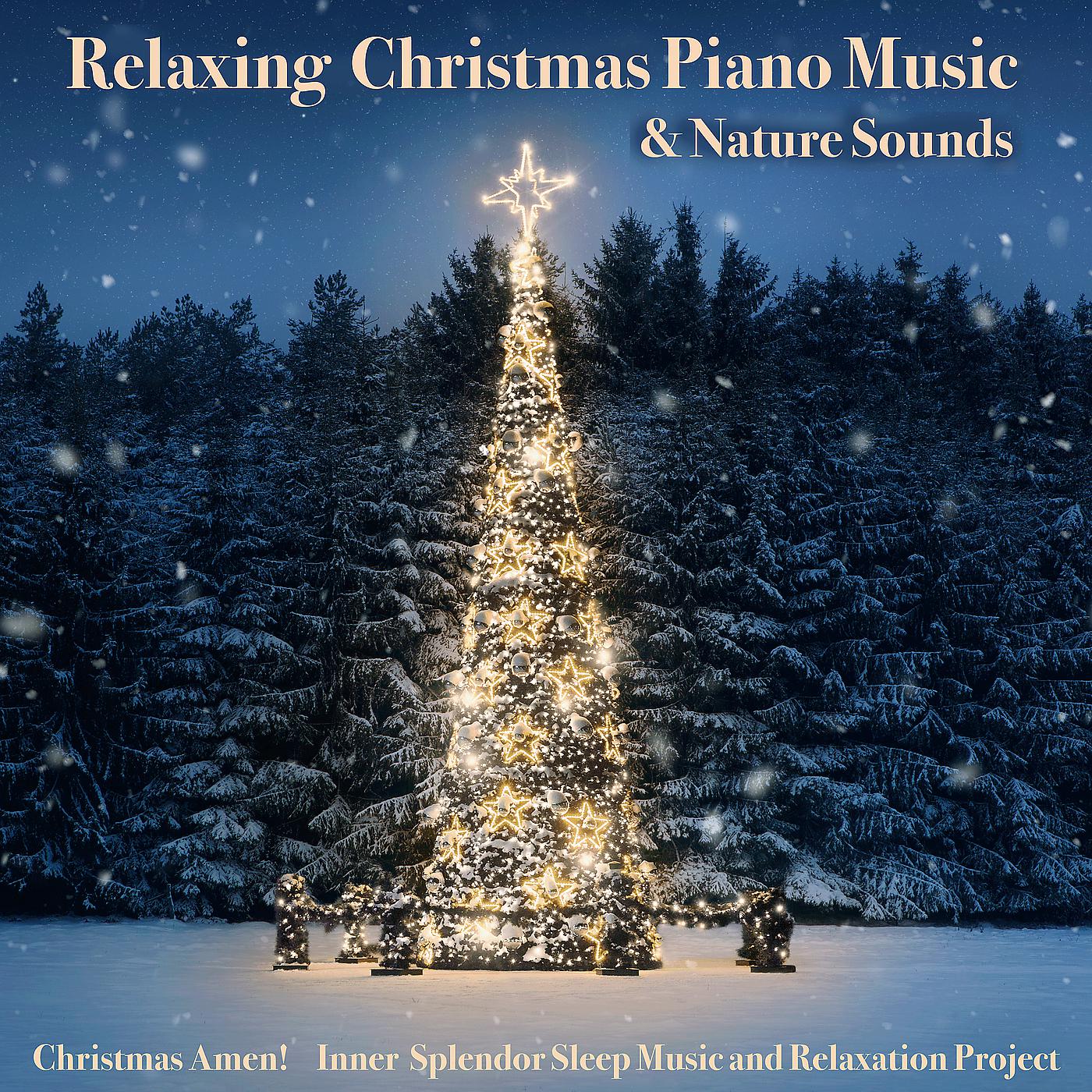 Постер альбома Relaxing Christmas Piano Music & Nature Sounds