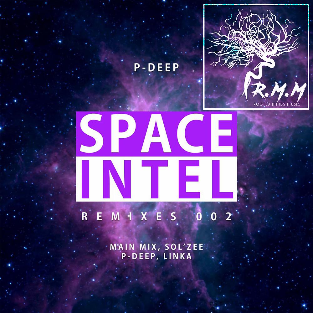 Постер альбома Space Intel Remixes 002