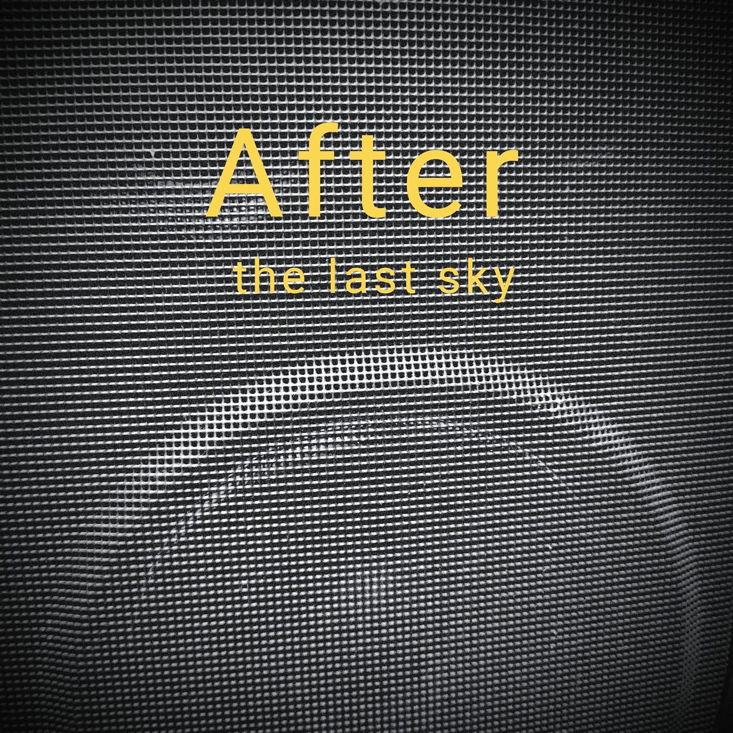 Постер альбома After the Last Sky