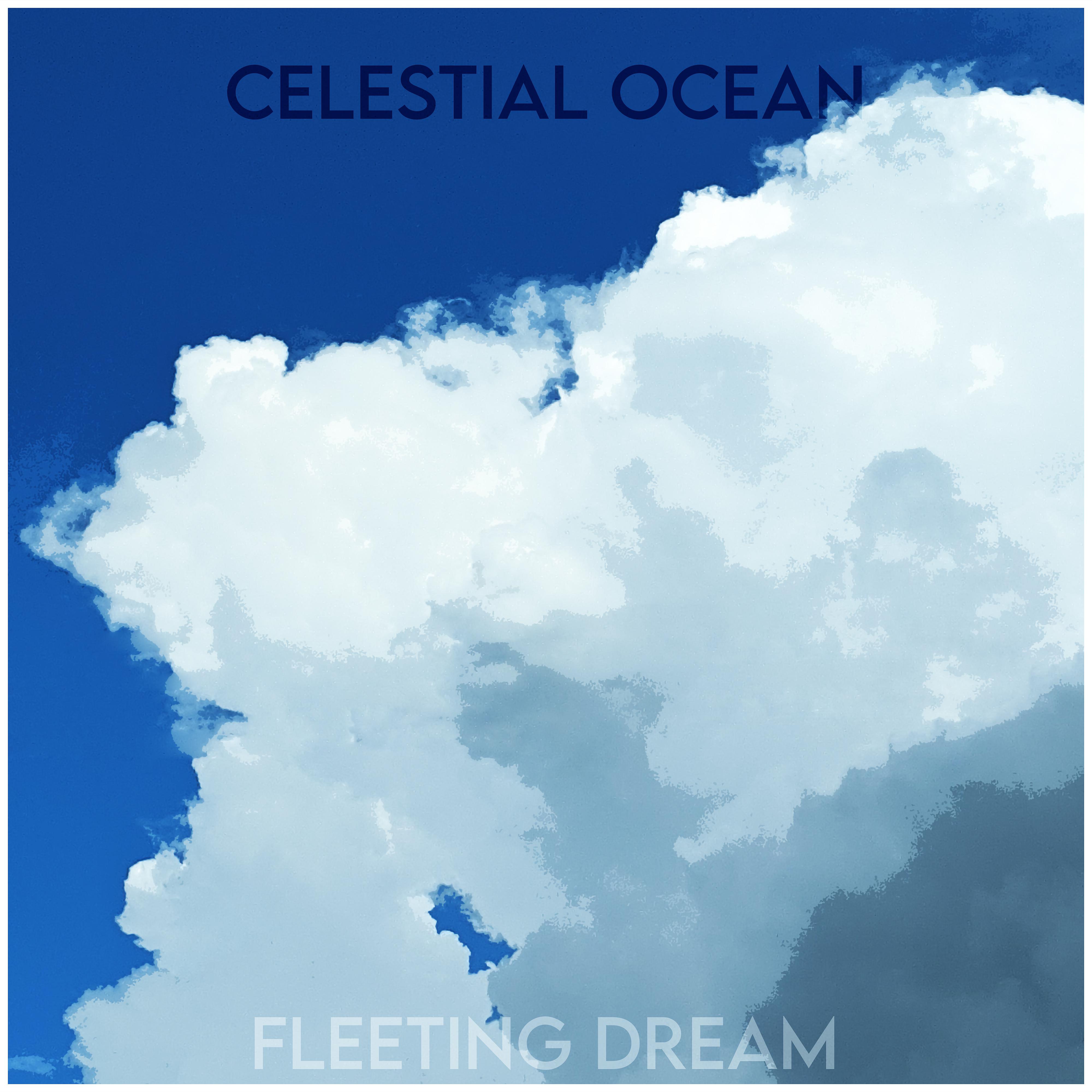 Постер альбома Fleeting Dream