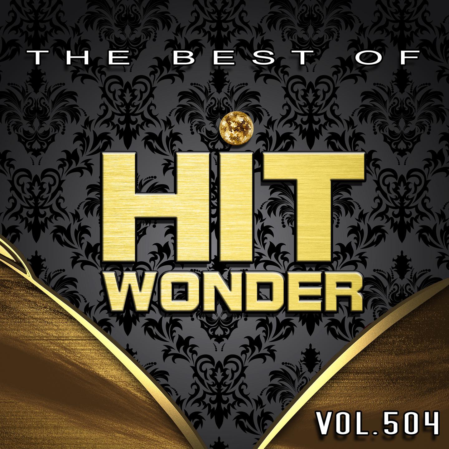 Постер альбома Hit Wonder: The Best of, Vol. 504