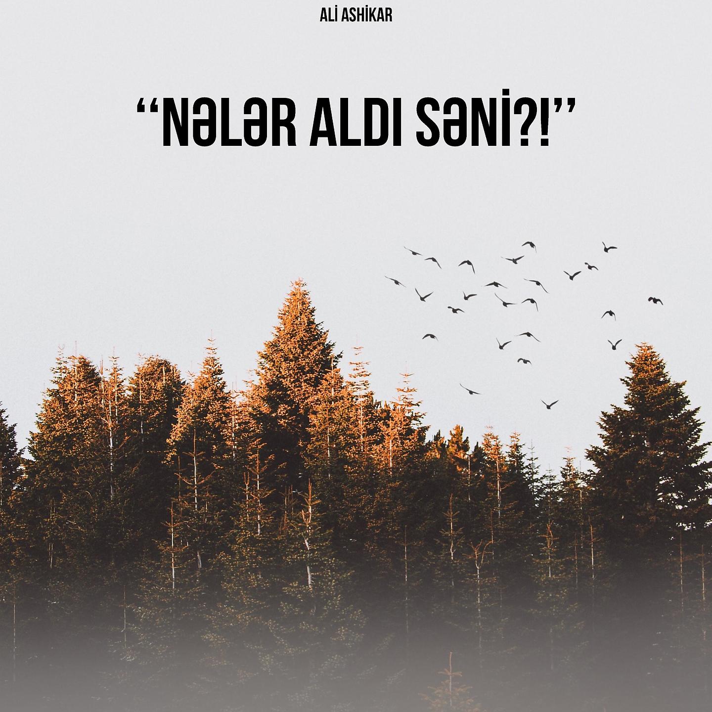 Постер альбома Nələr Aldı Səni?!