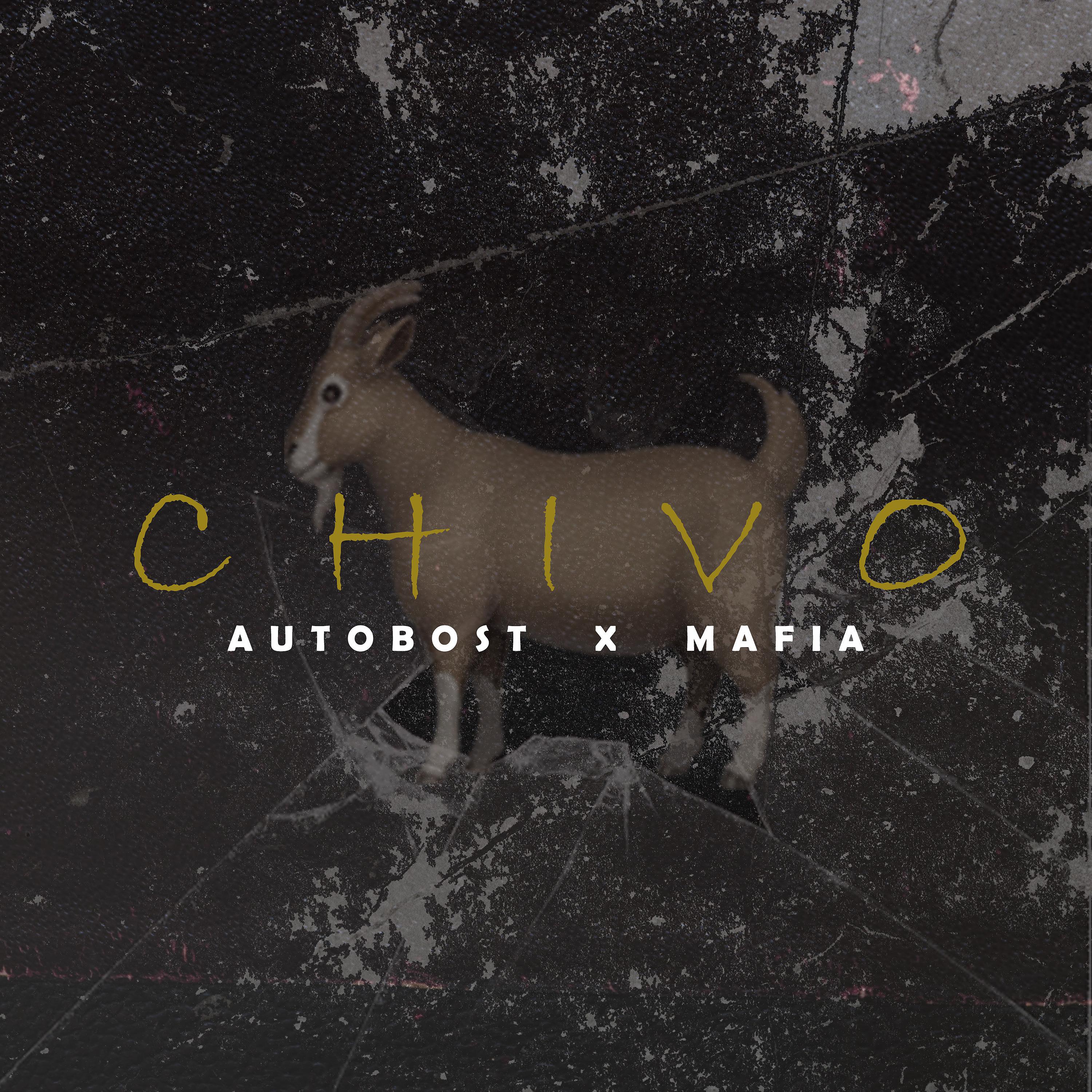 Постер альбома Chivo