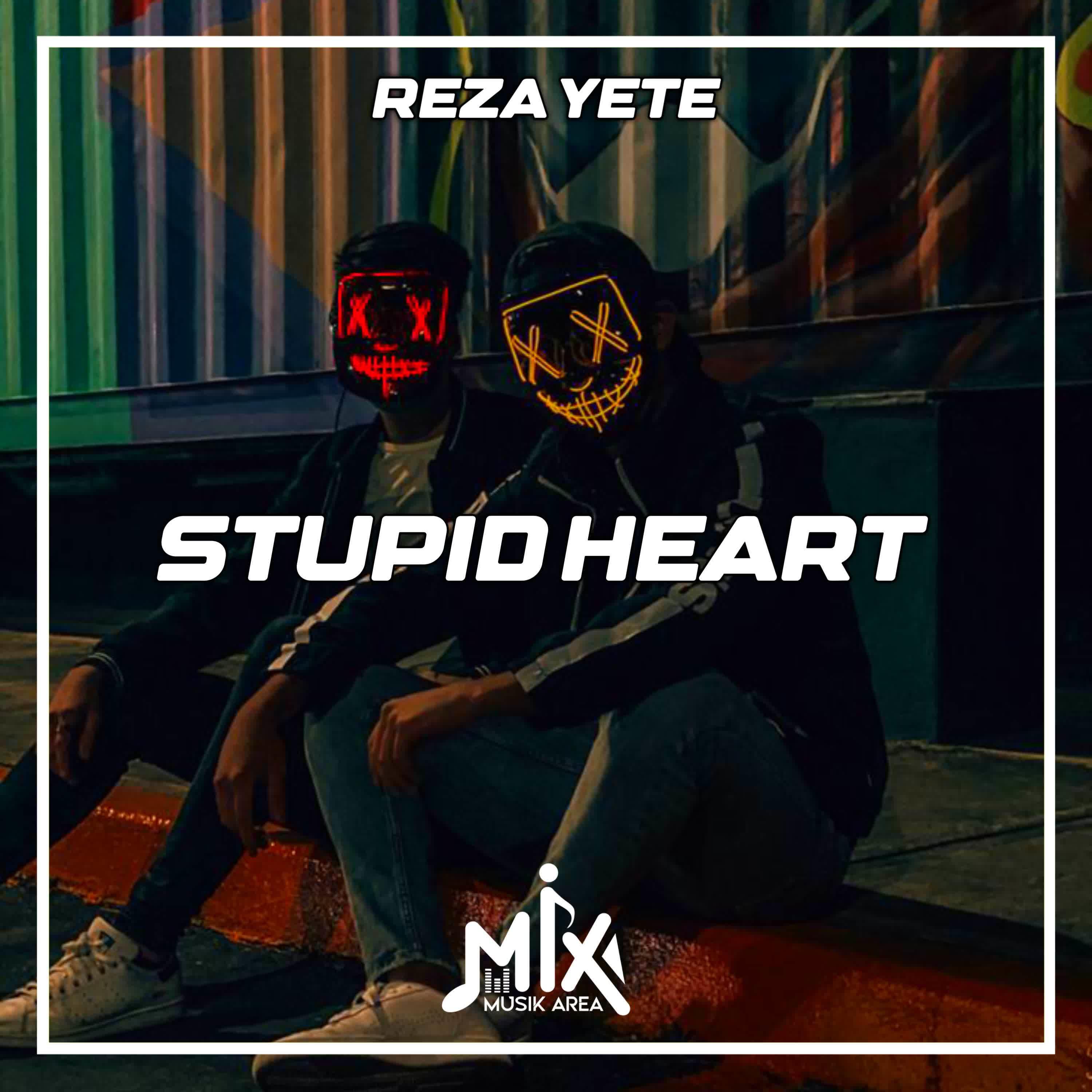 Постер альбома DJ Stupid Heart