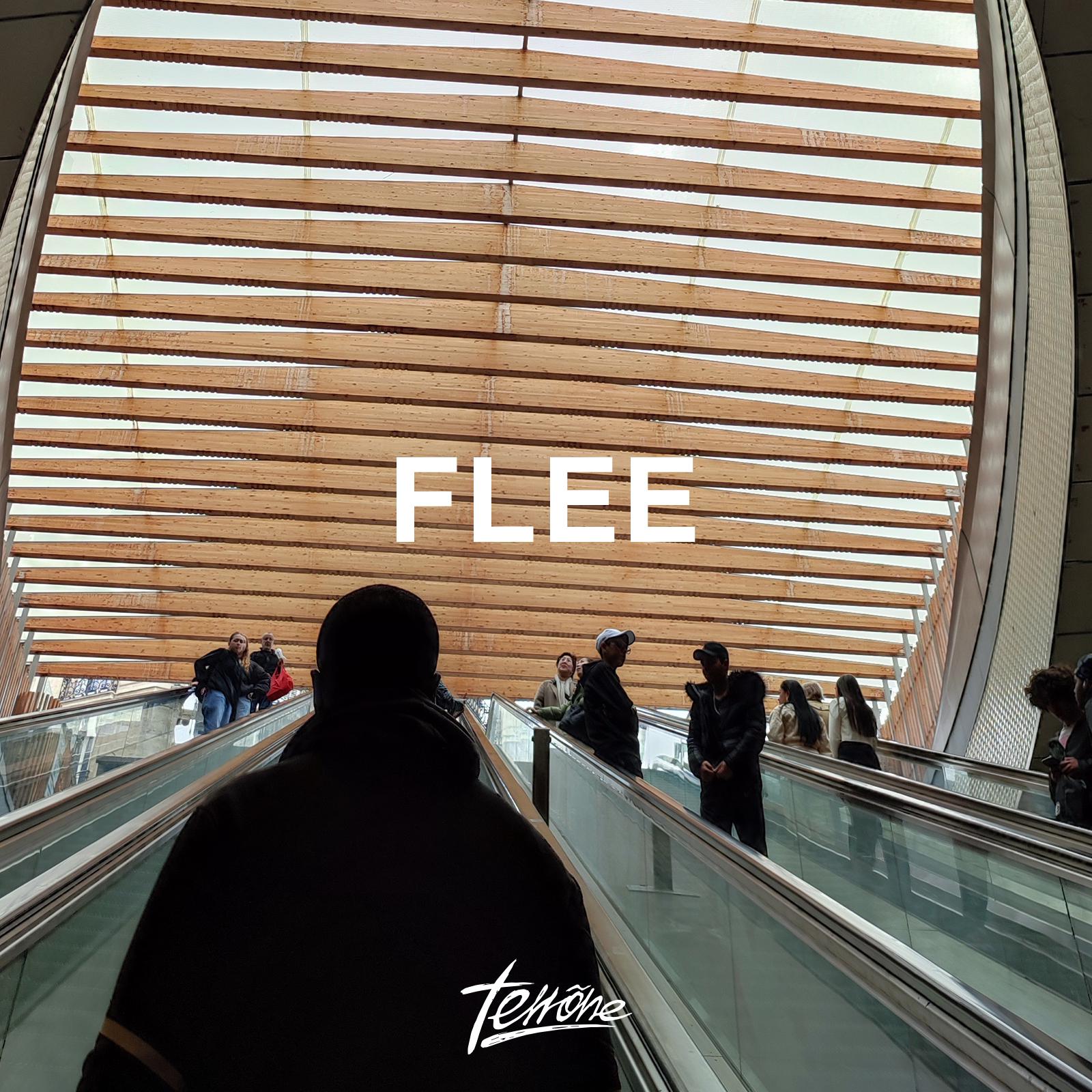 Постер альбома Flee