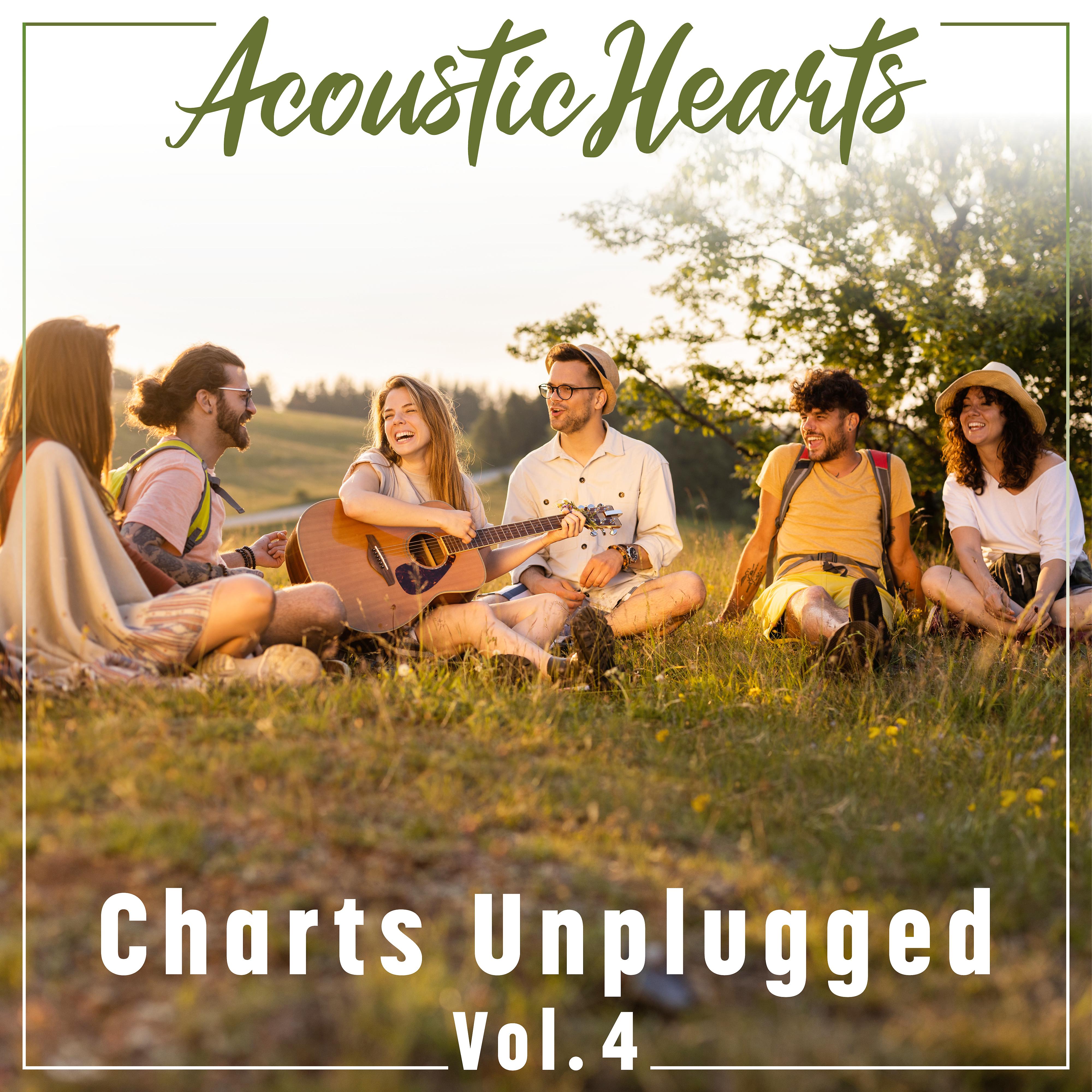 Постер альбома Charts Unplugged, Vol. 4