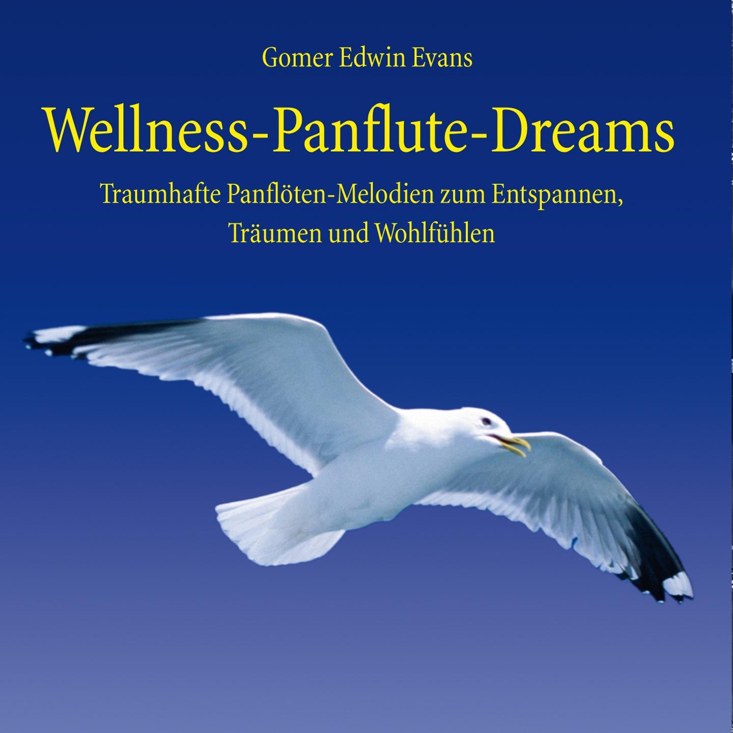 Постер альбома Wellness Panflute Dreams : Melodien zum Träumen und Entspannen