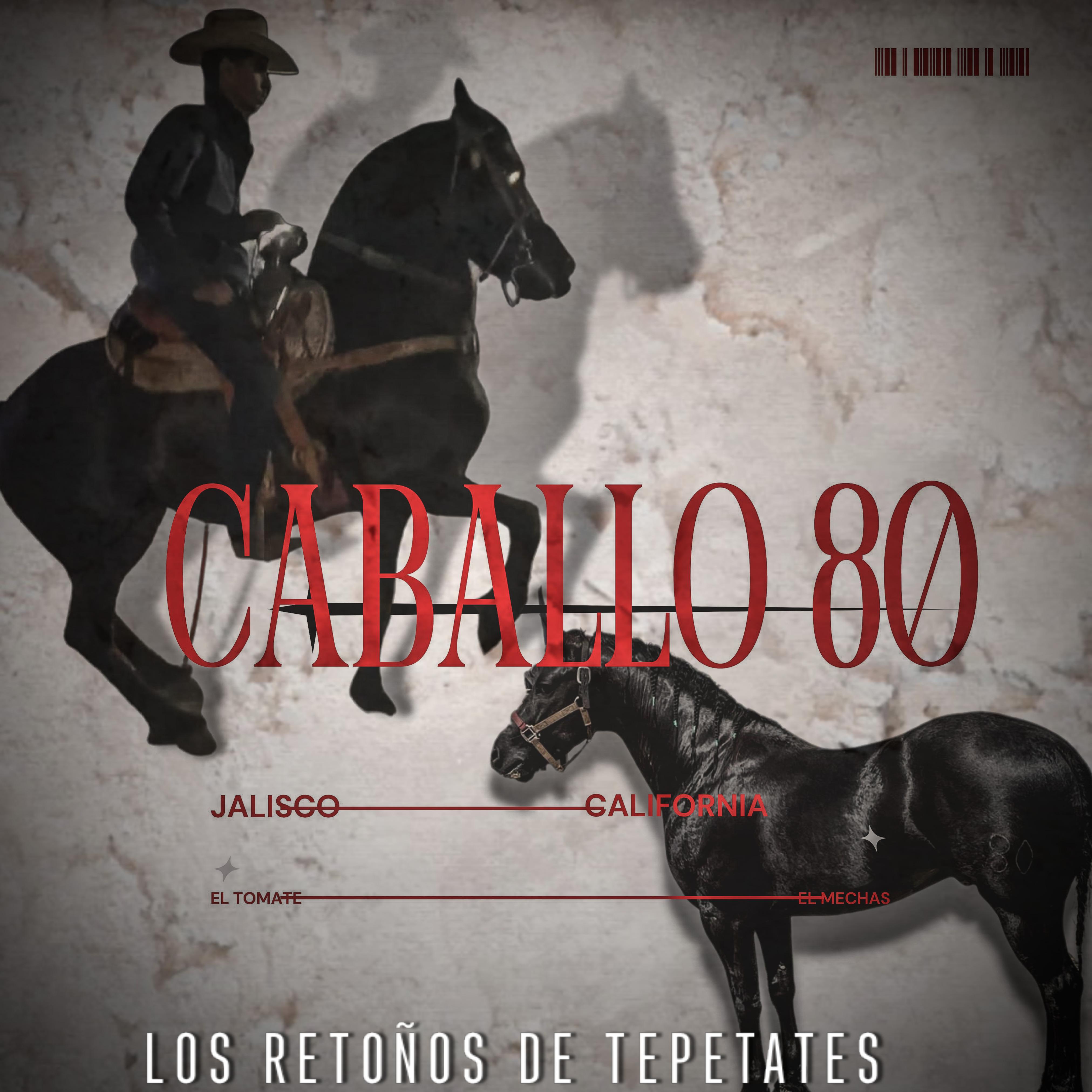 Постер альбома Caballo 80