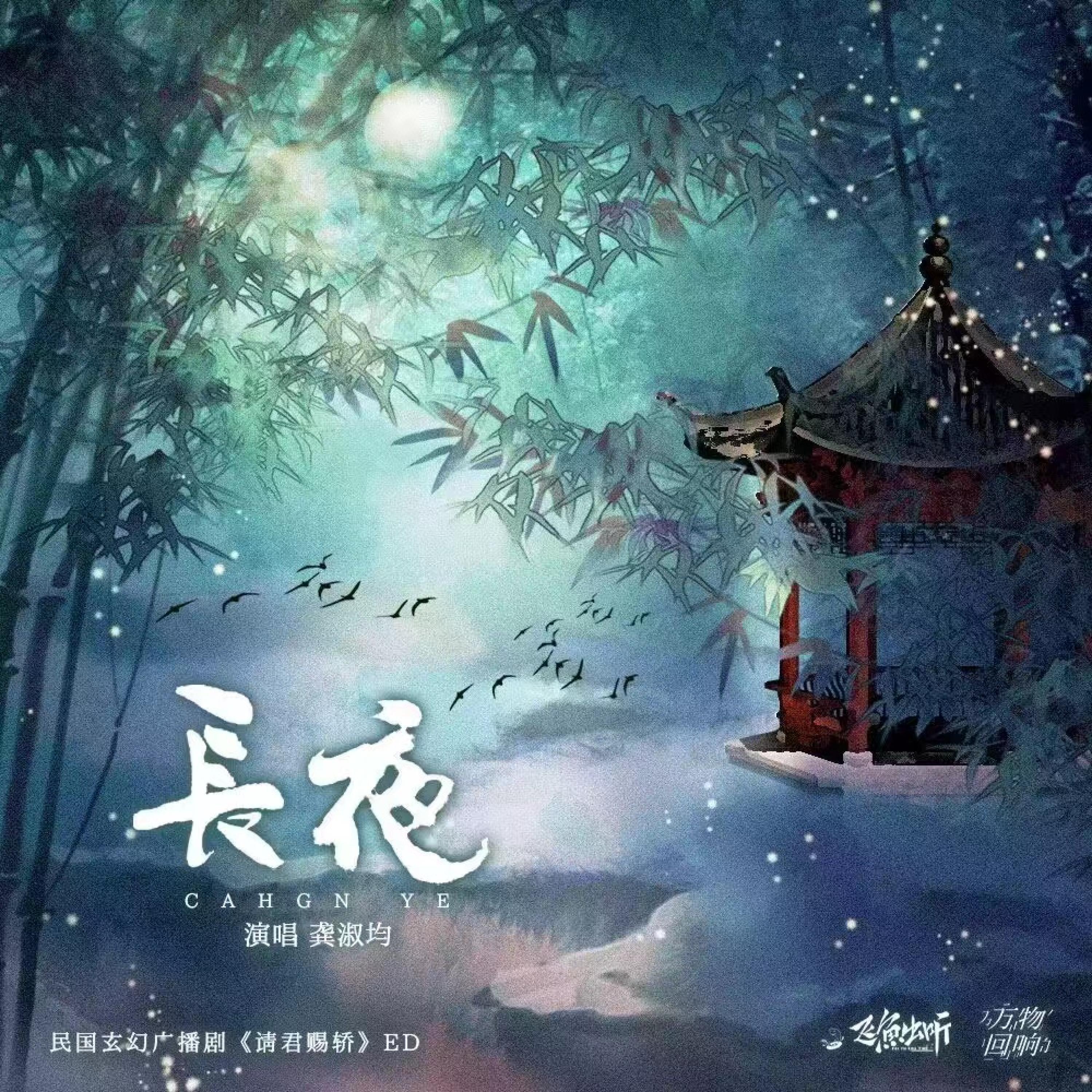 Постер альбома 长夜