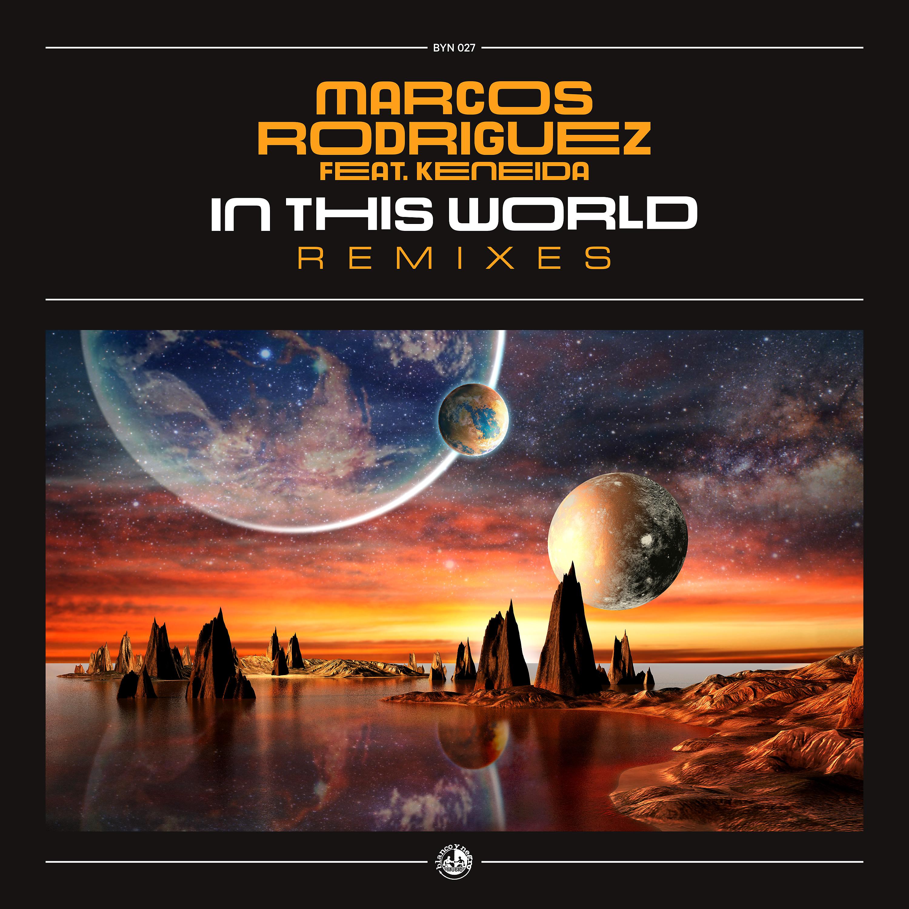 Постер альбома In This World (Remixes)