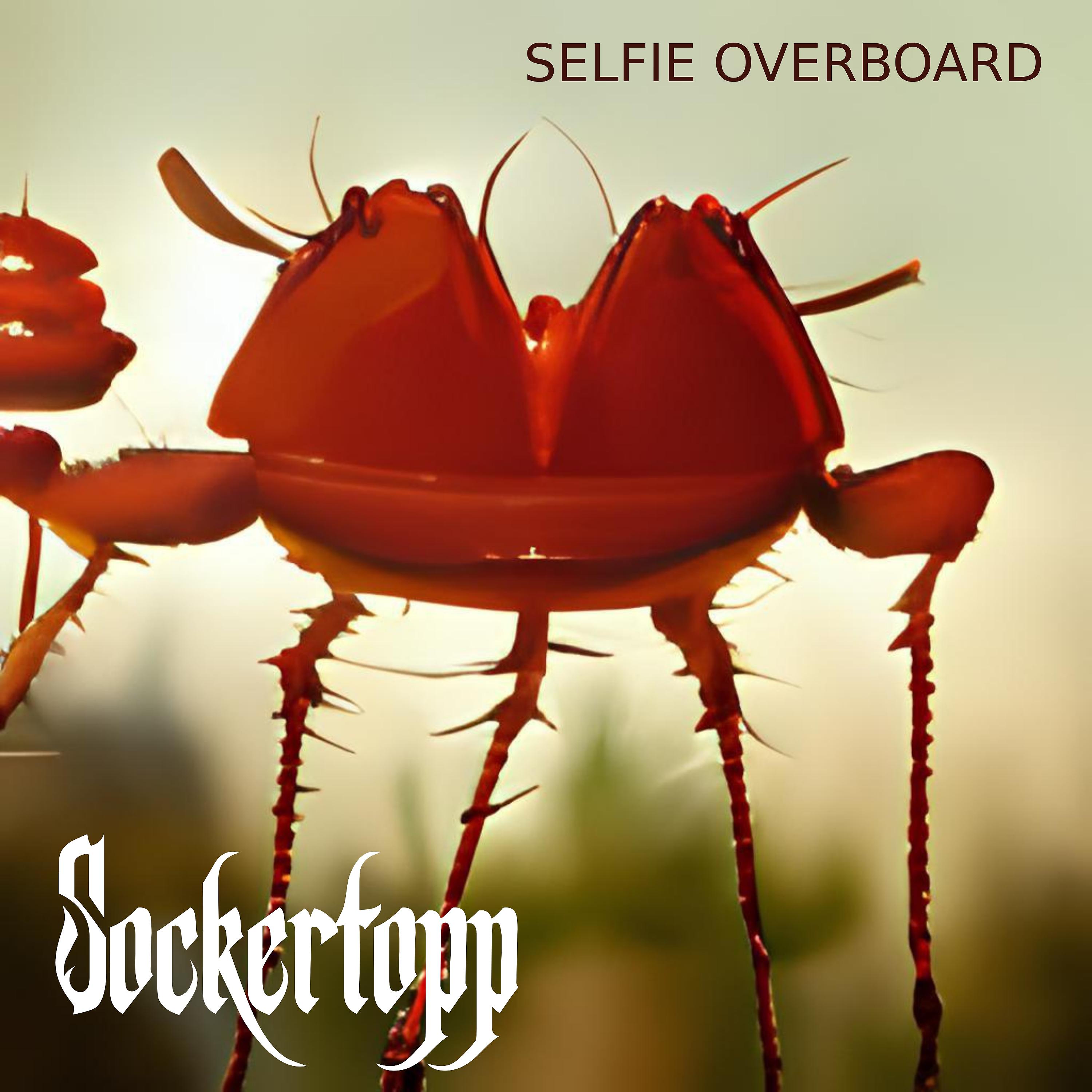 Постер альбома Selfie Overboard