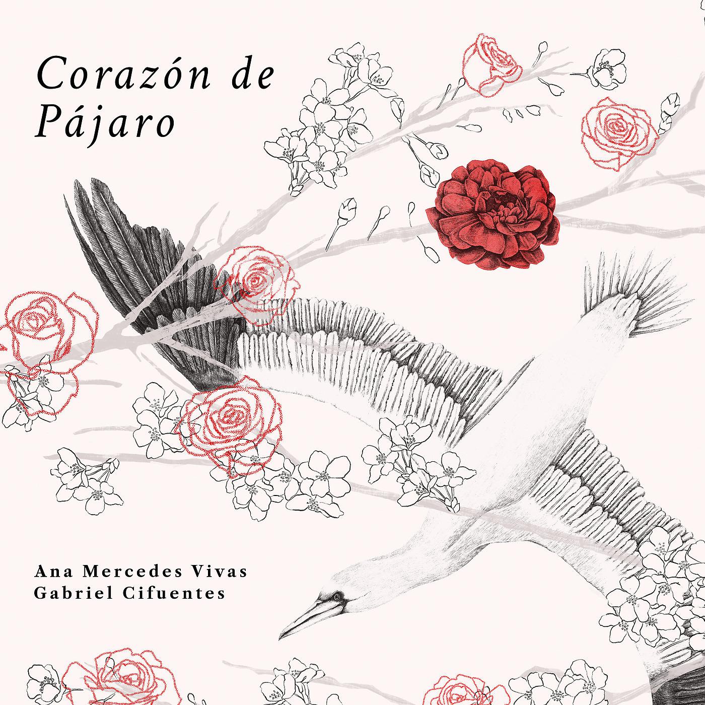 Постер альбома Corazón De Pájaro