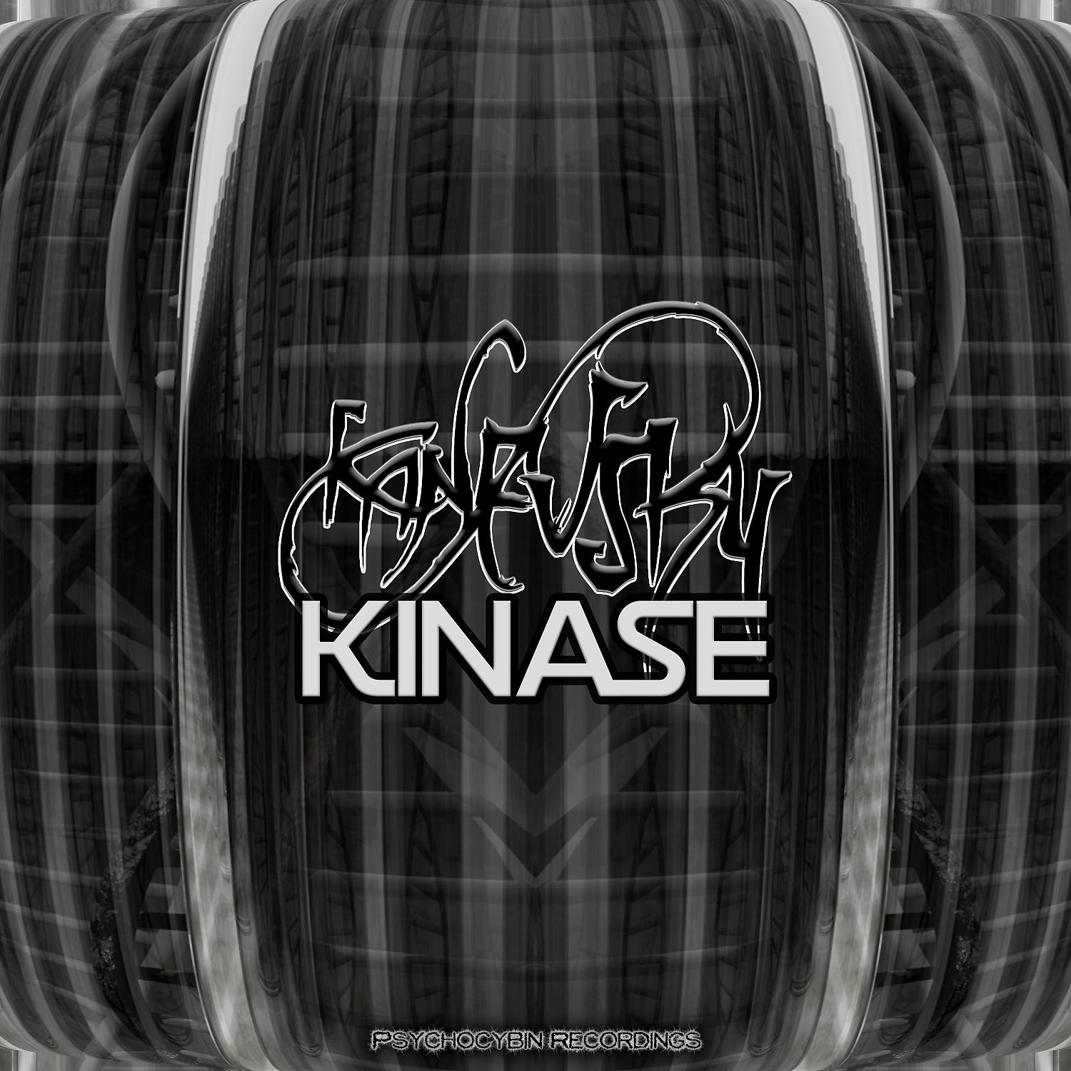 Постер альбома Kinase