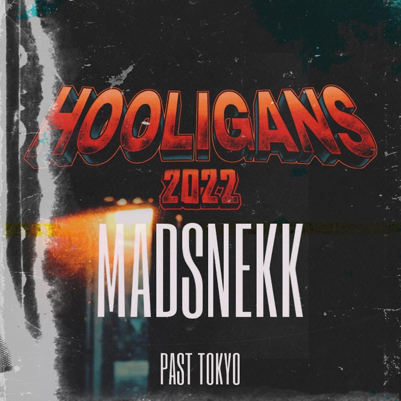 Постер альбома Hooligans 2022 (Madsnekk)