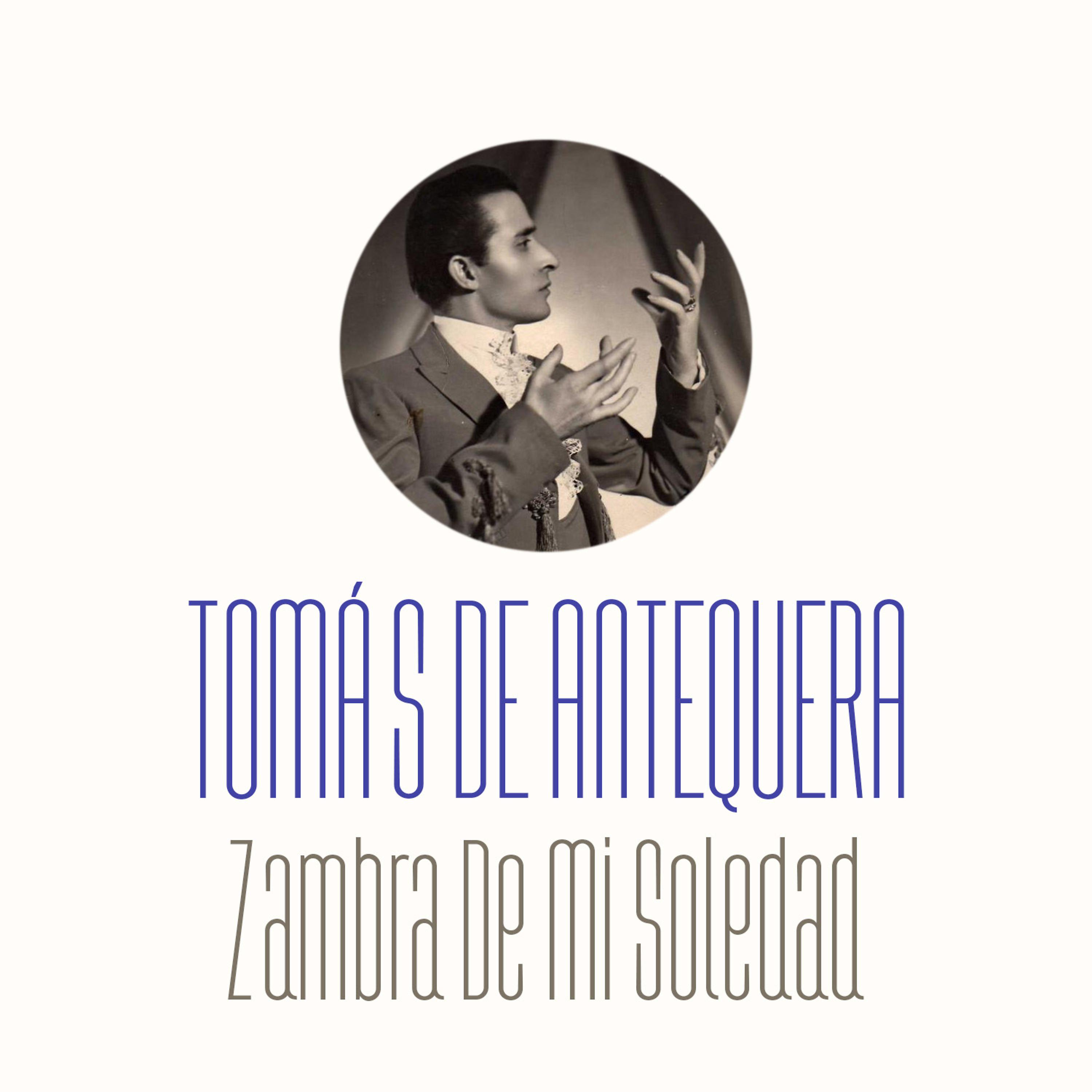 Постер альбома Zambra de Mi Soledad