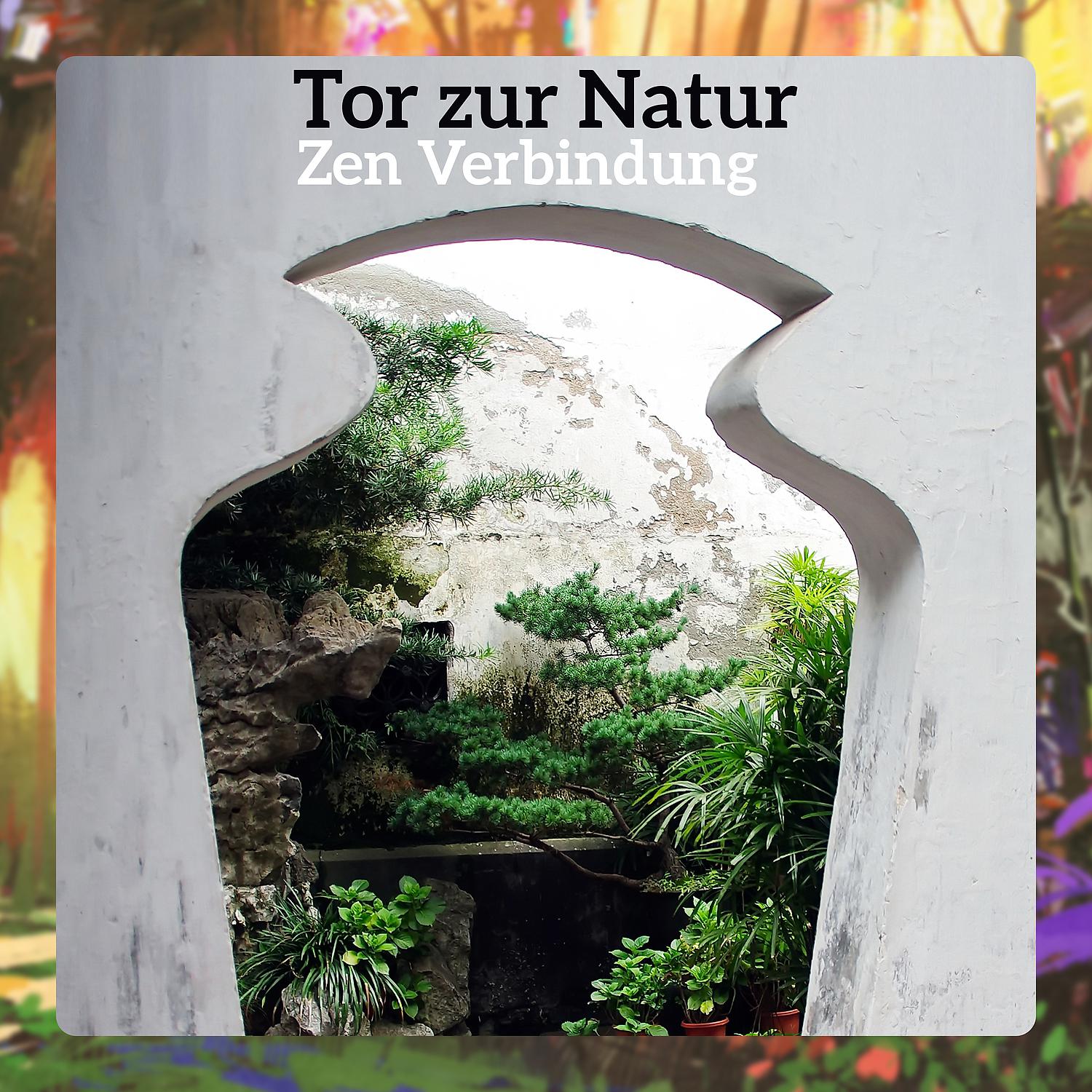 Постер альбома Tor zur Natur - Zen Verbindung, Natürliche Musik Entspannung, Meditationsmusik, Gesunder Schlaf, Wellness und Erholung