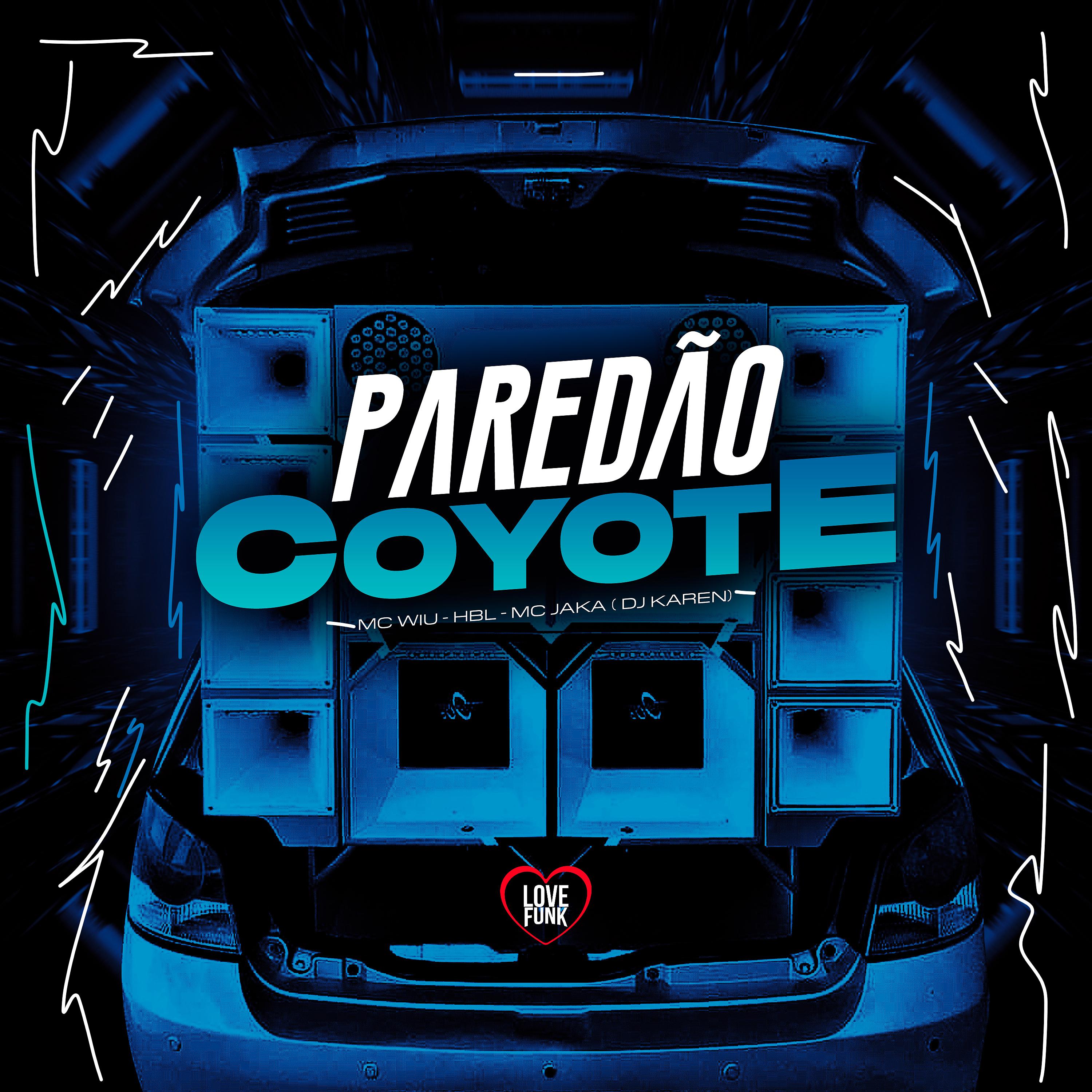 Постер альбома Paredao Coyote