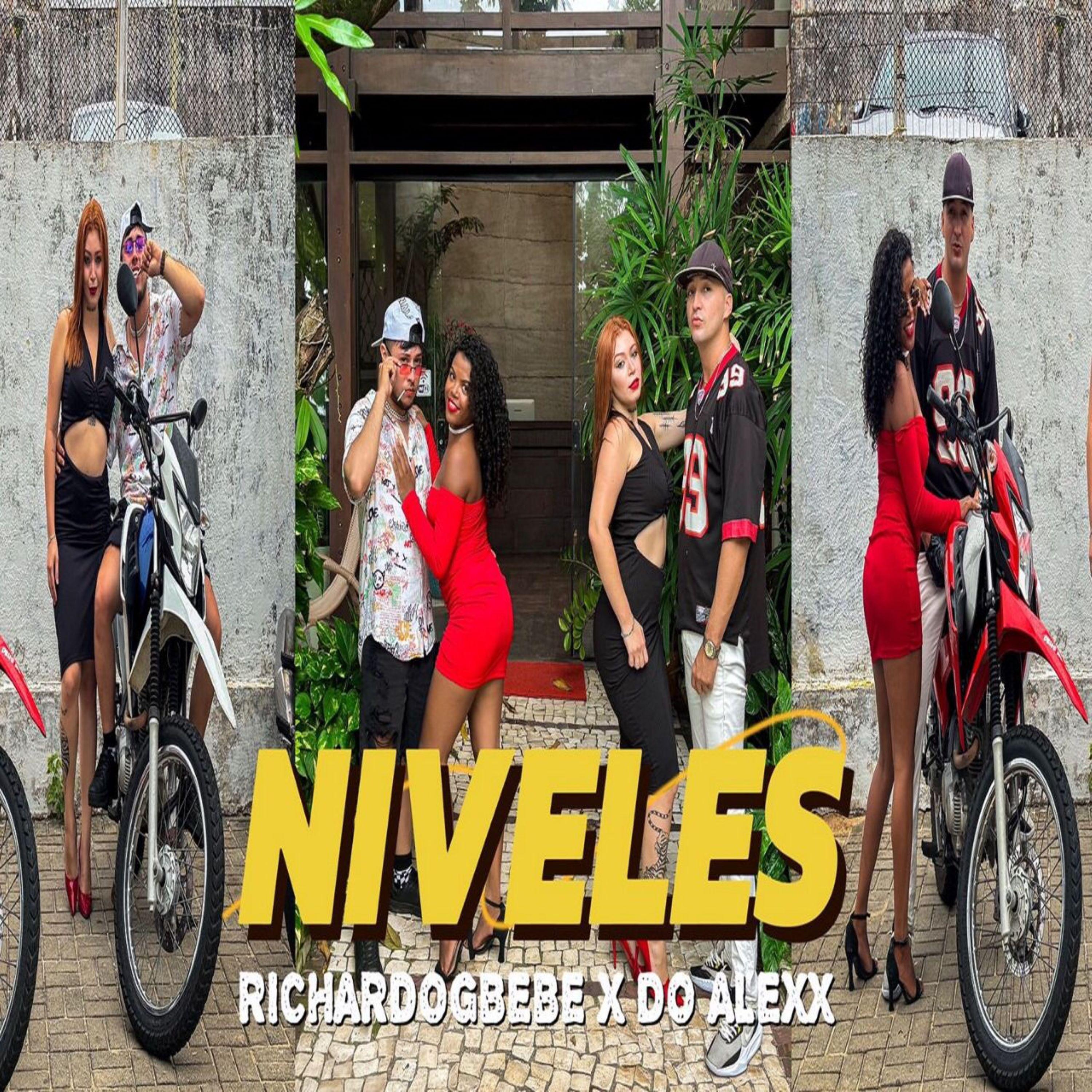 Постер альбома Niveles