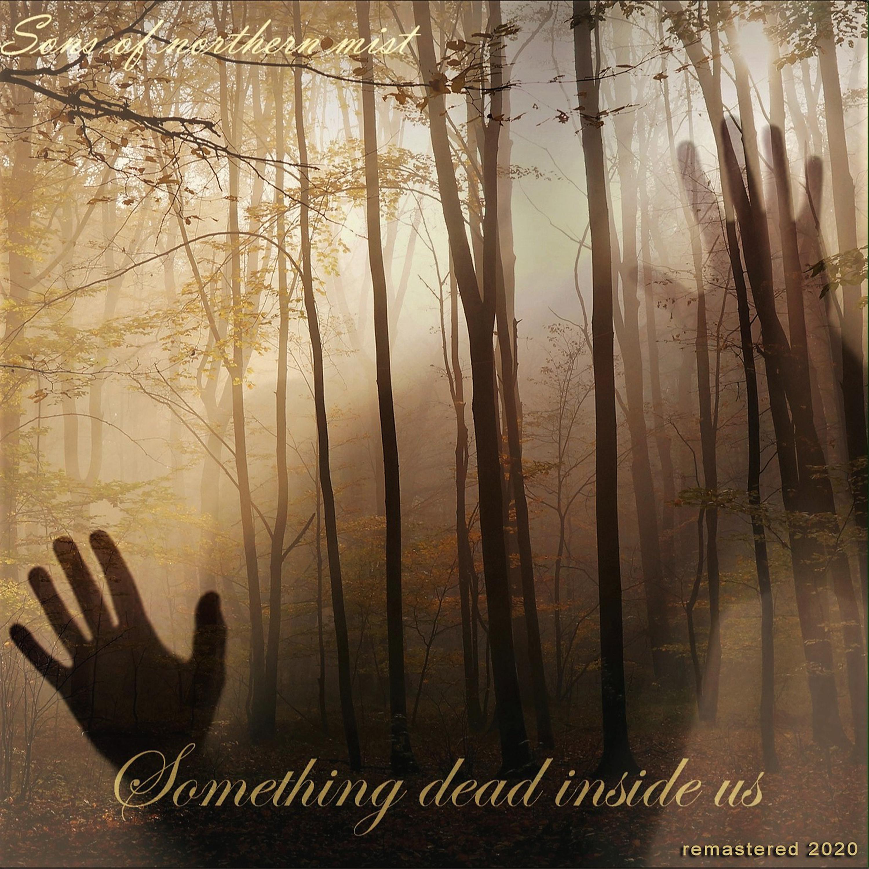 Постер альбома Something Dead Inside Us