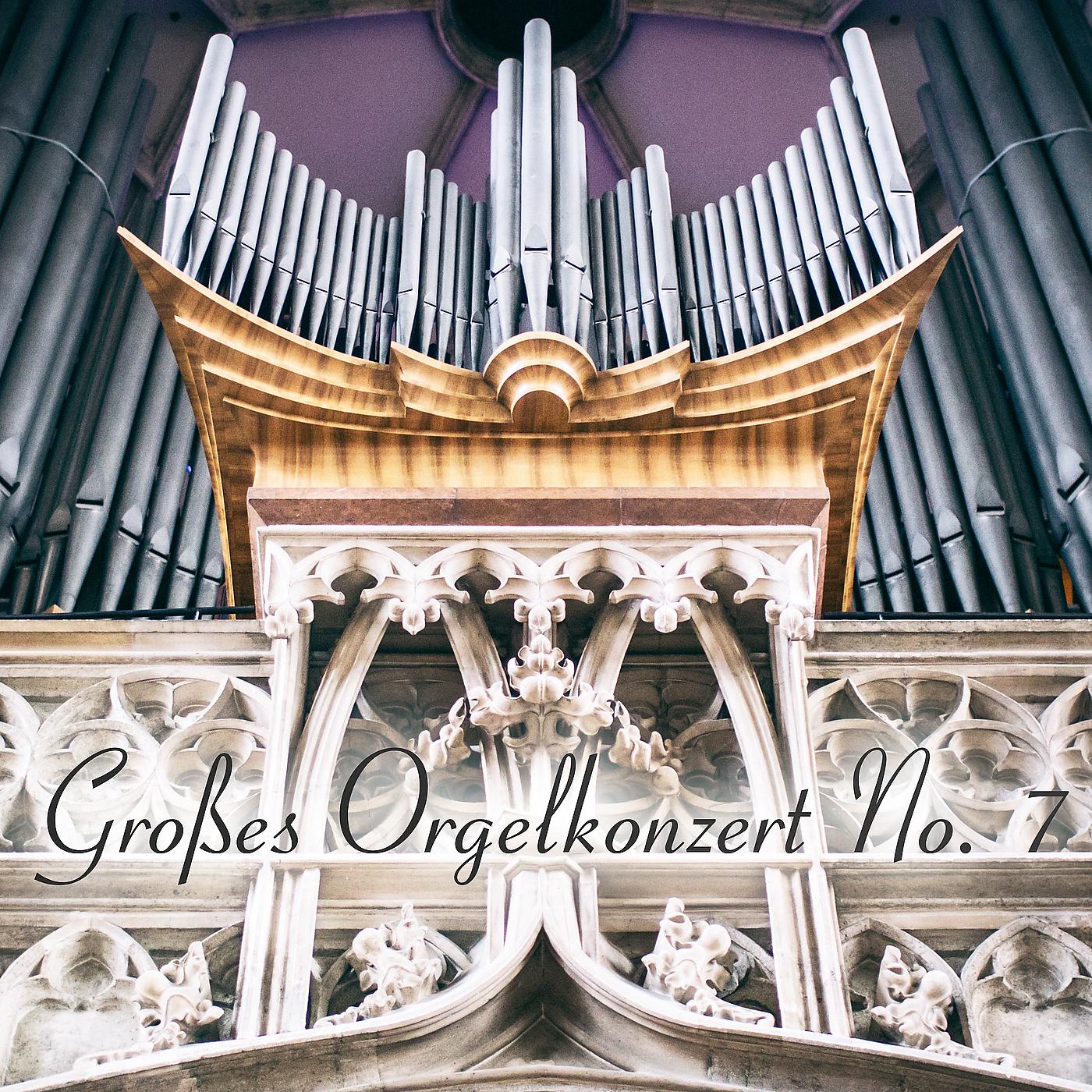 Постер альбома Großes Orgelkonzert No. 7