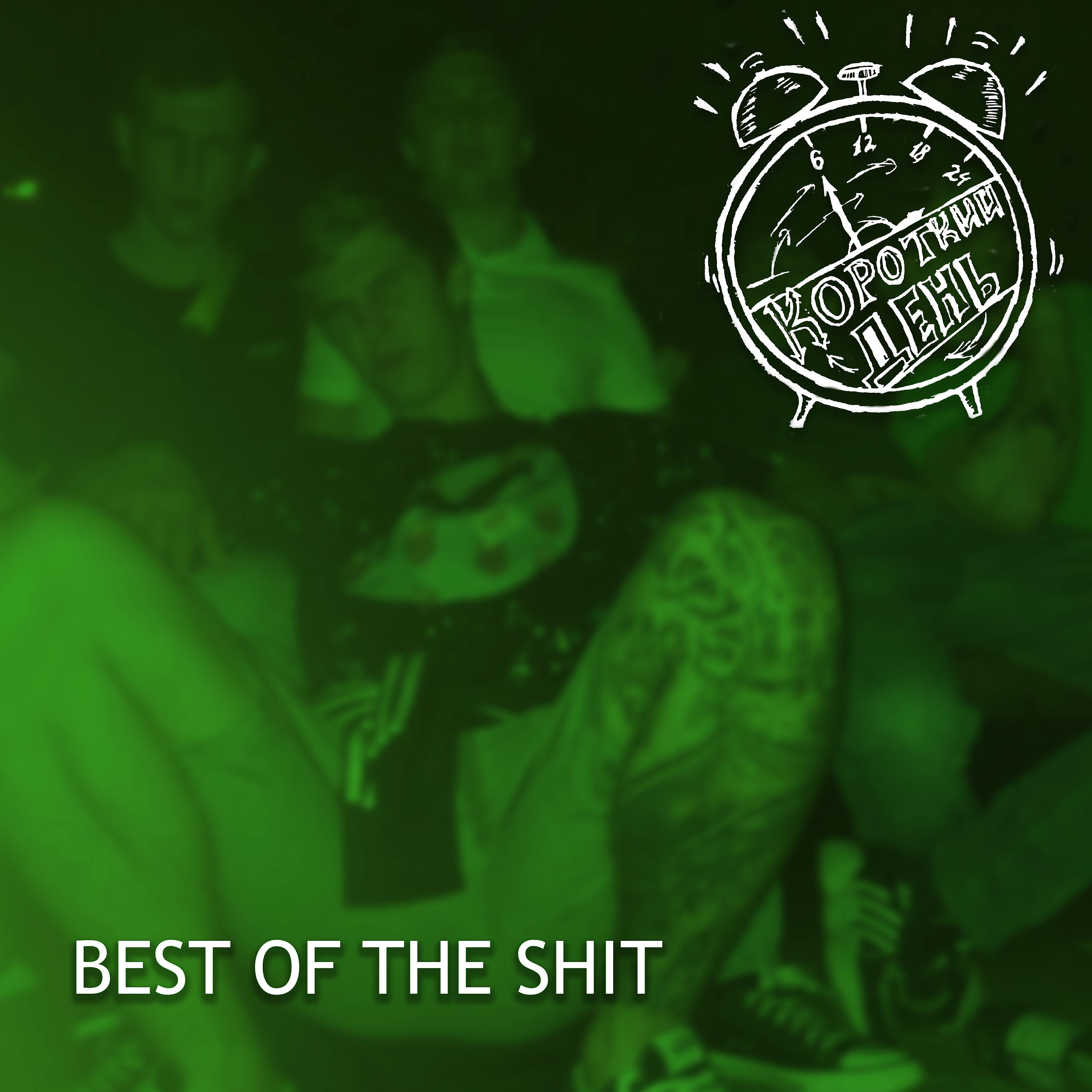 Постер альбома Best of the Shit
