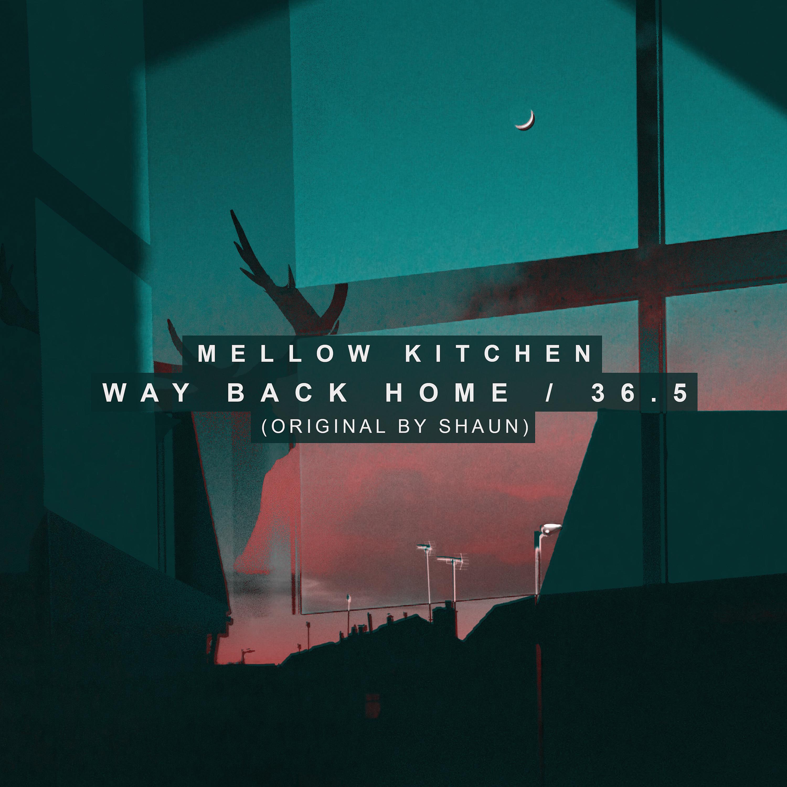 Постер альбома Way Back Home / 36.5