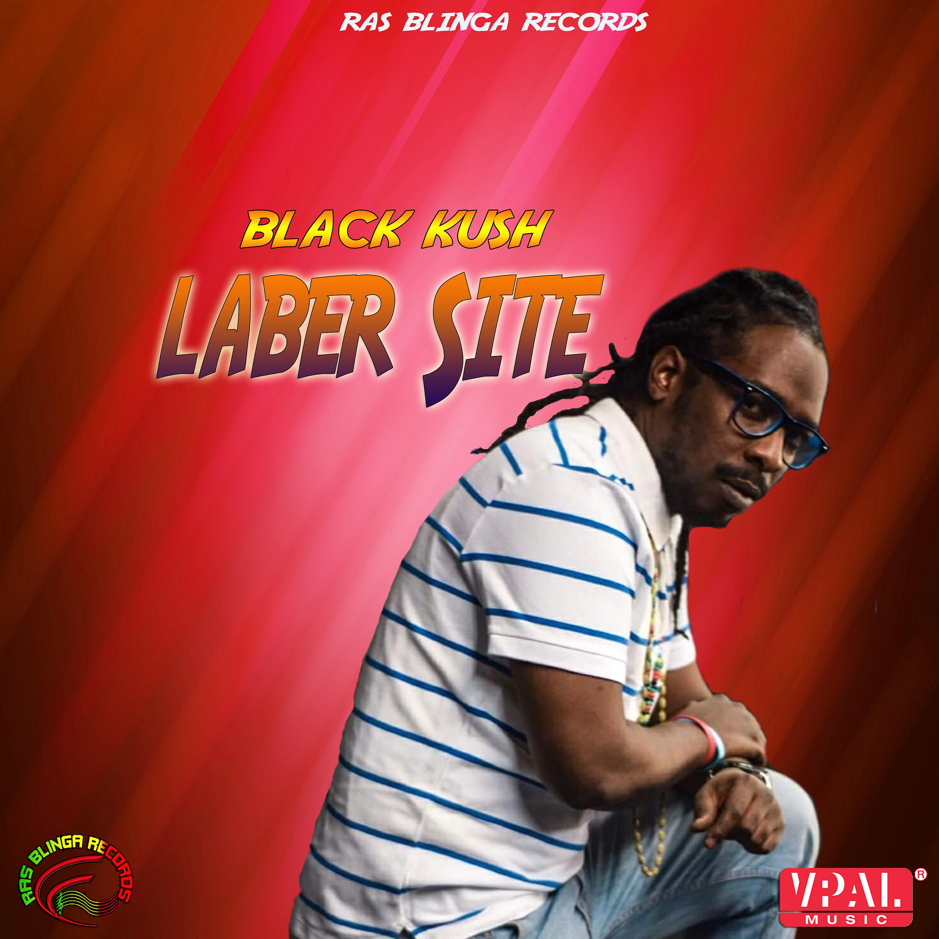 Постер альбома Laber Site