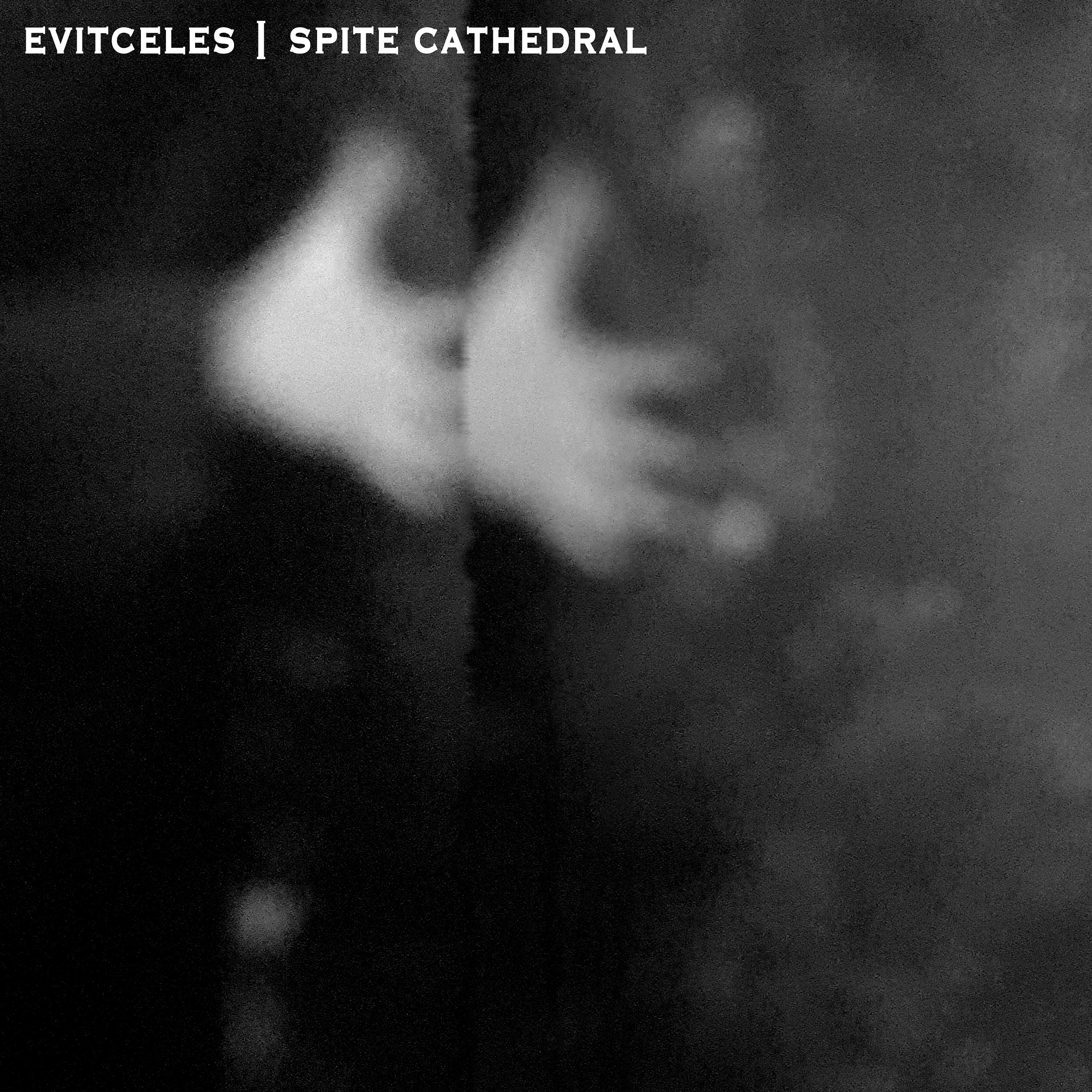 Постер альбома Evitceles / Spite Cathedral Split