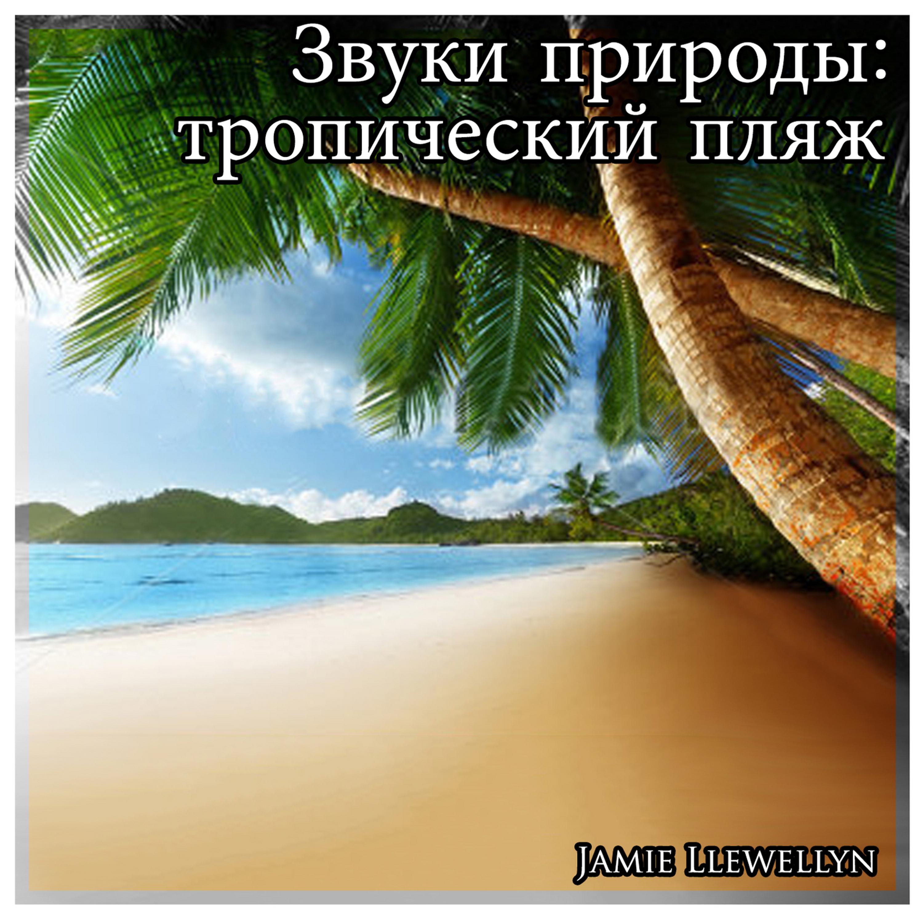 Постер альбома Звуки природы: тропический пляж