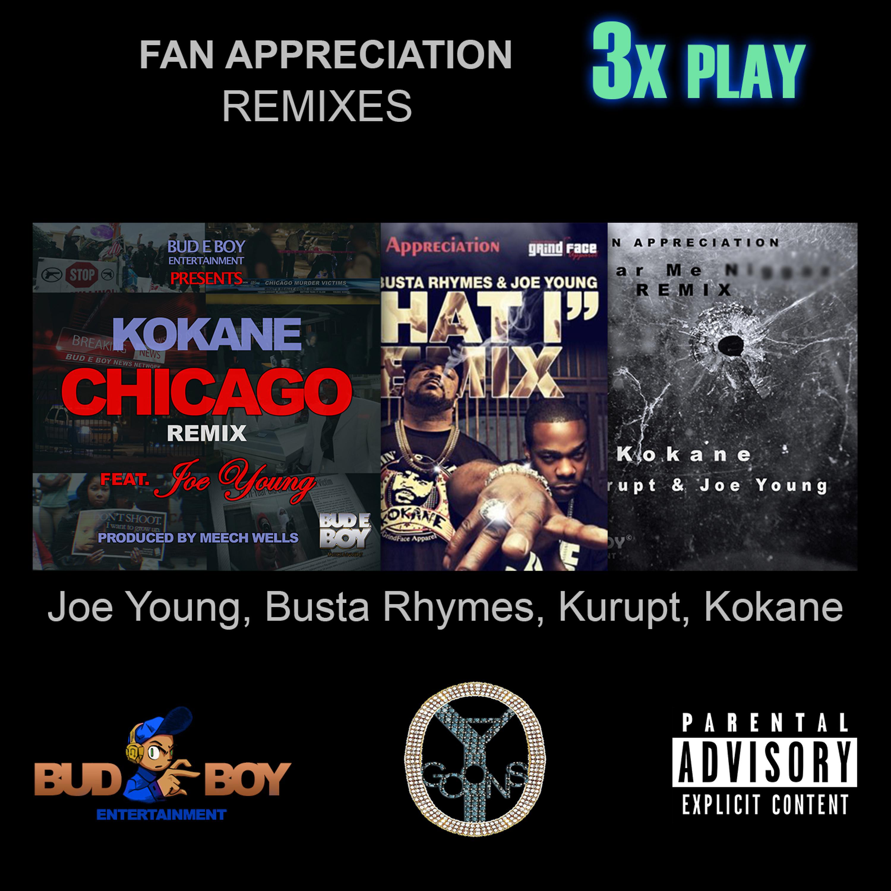 Постер альбома Fan Appreciation Remixes 3x Play