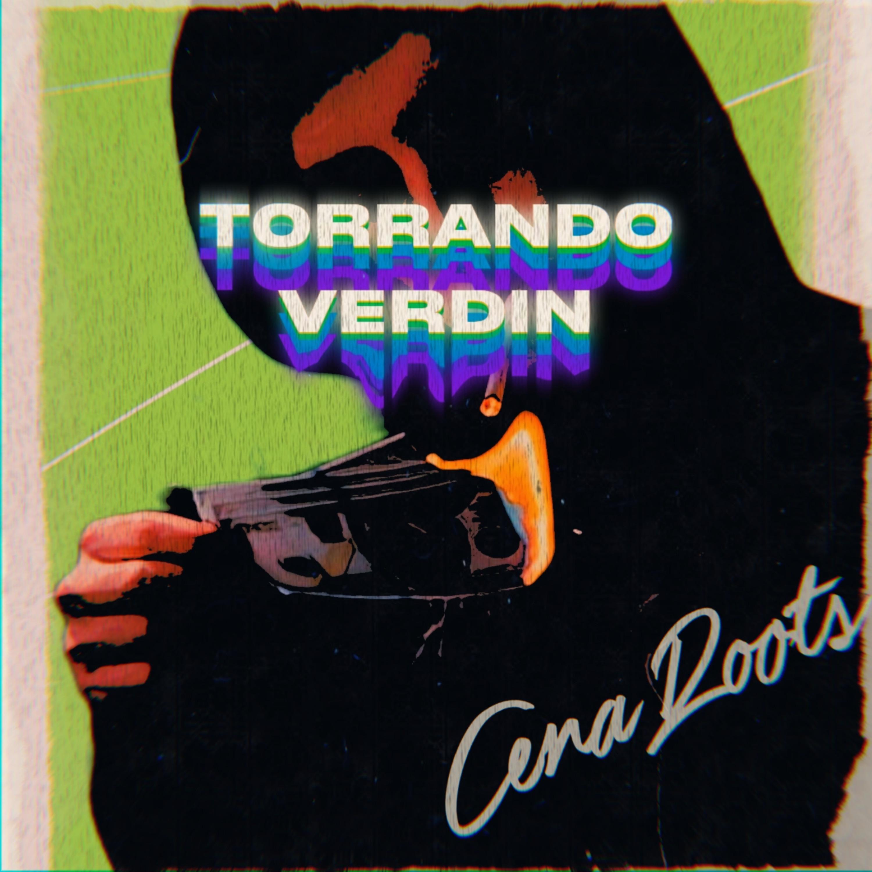 Постер альбома Torrando Verdin