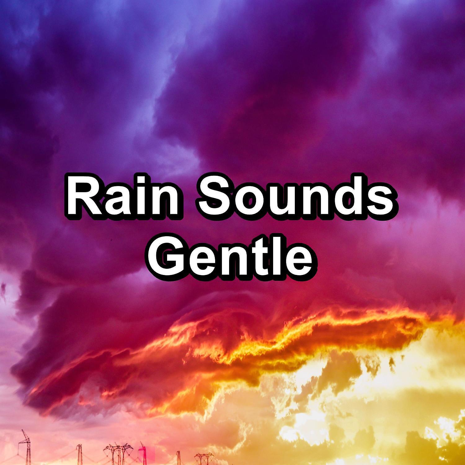 Постер альбома Rain Sounds Gentle
