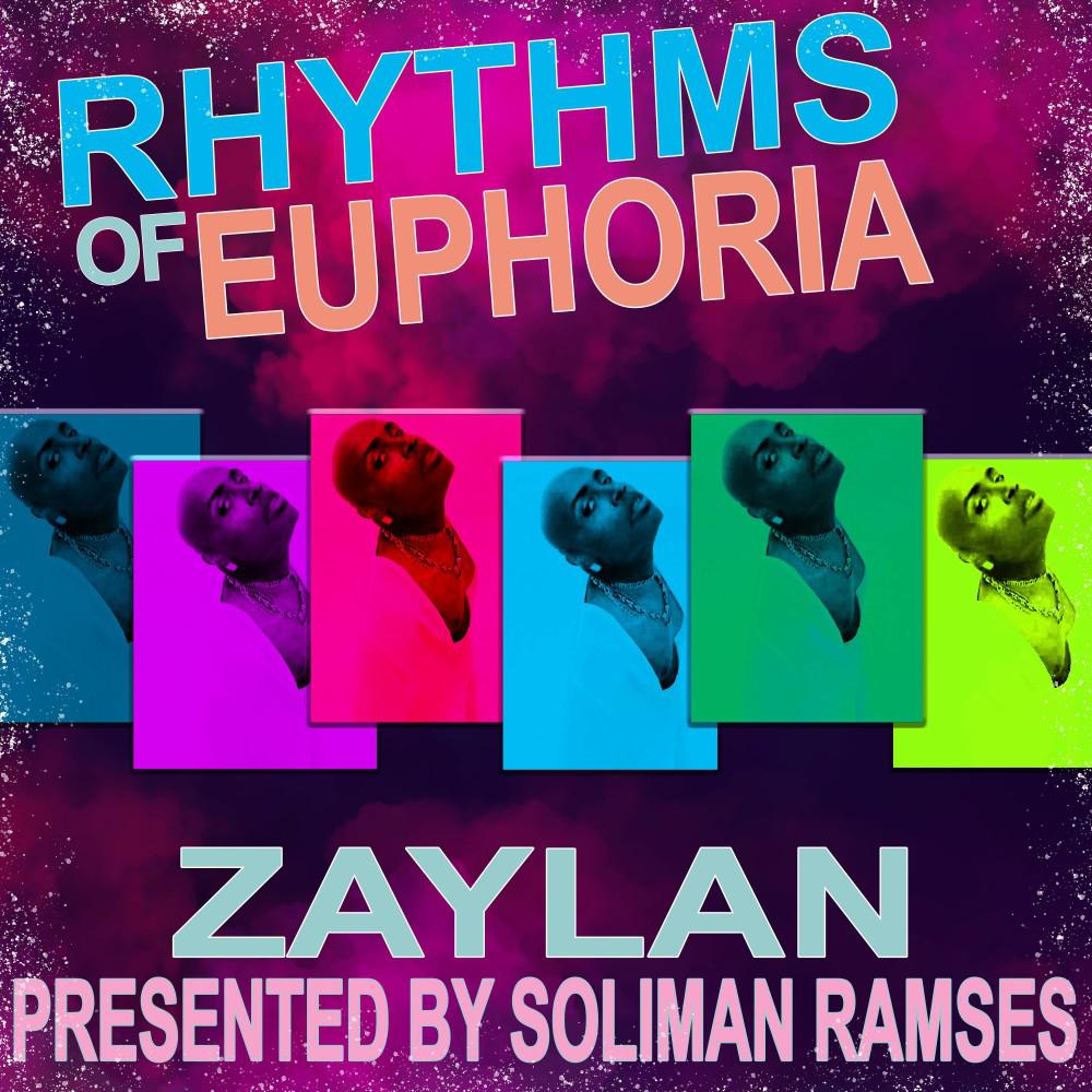 Постер альбома Rhythms of Euphoria