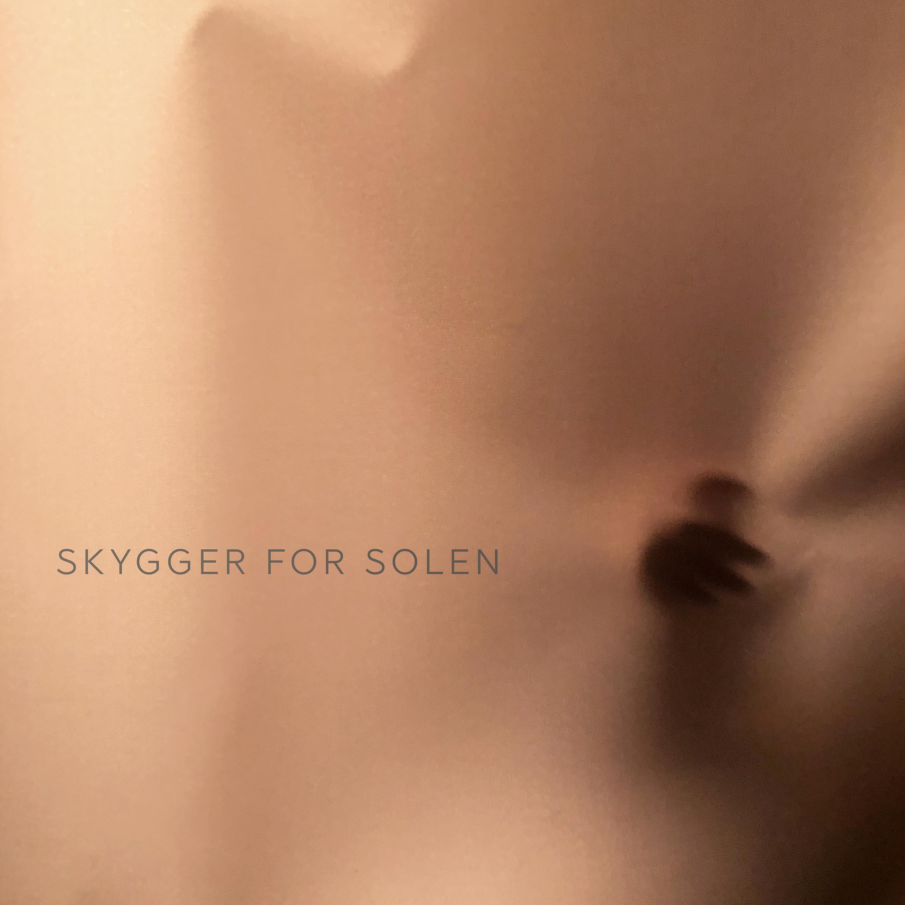 Постер альбома Skygger For Solen