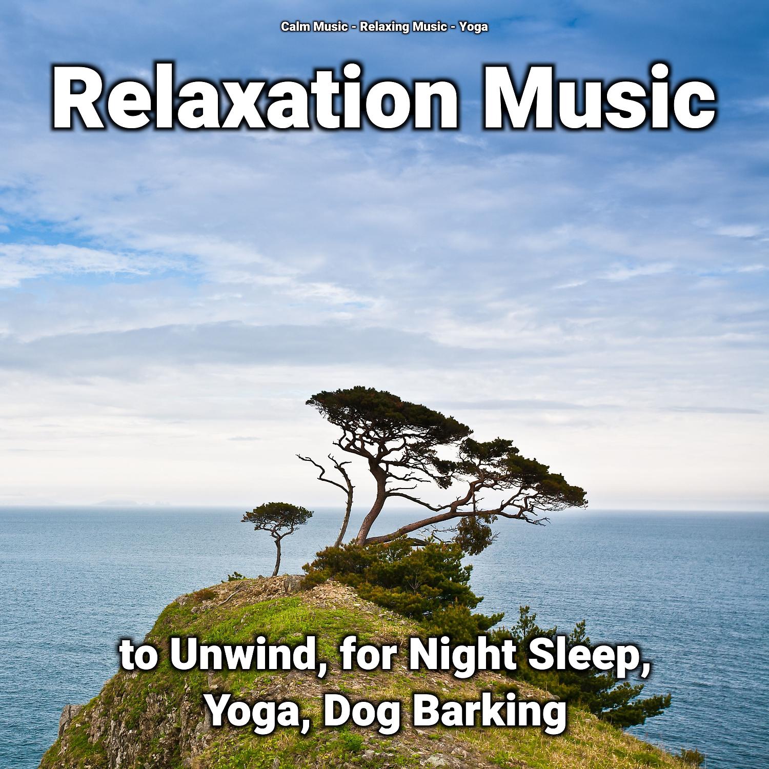 Постер альбома Relaxation Music to Unwind, for Night Sleep, Yoga, Dog Barking