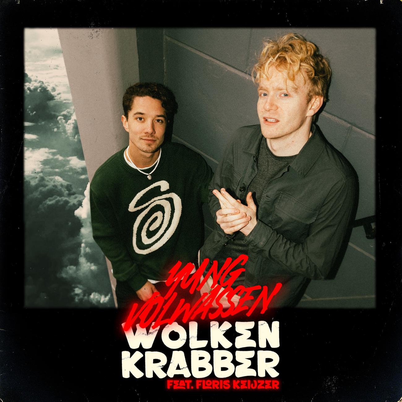 Постер альбома Wolkenkrabber