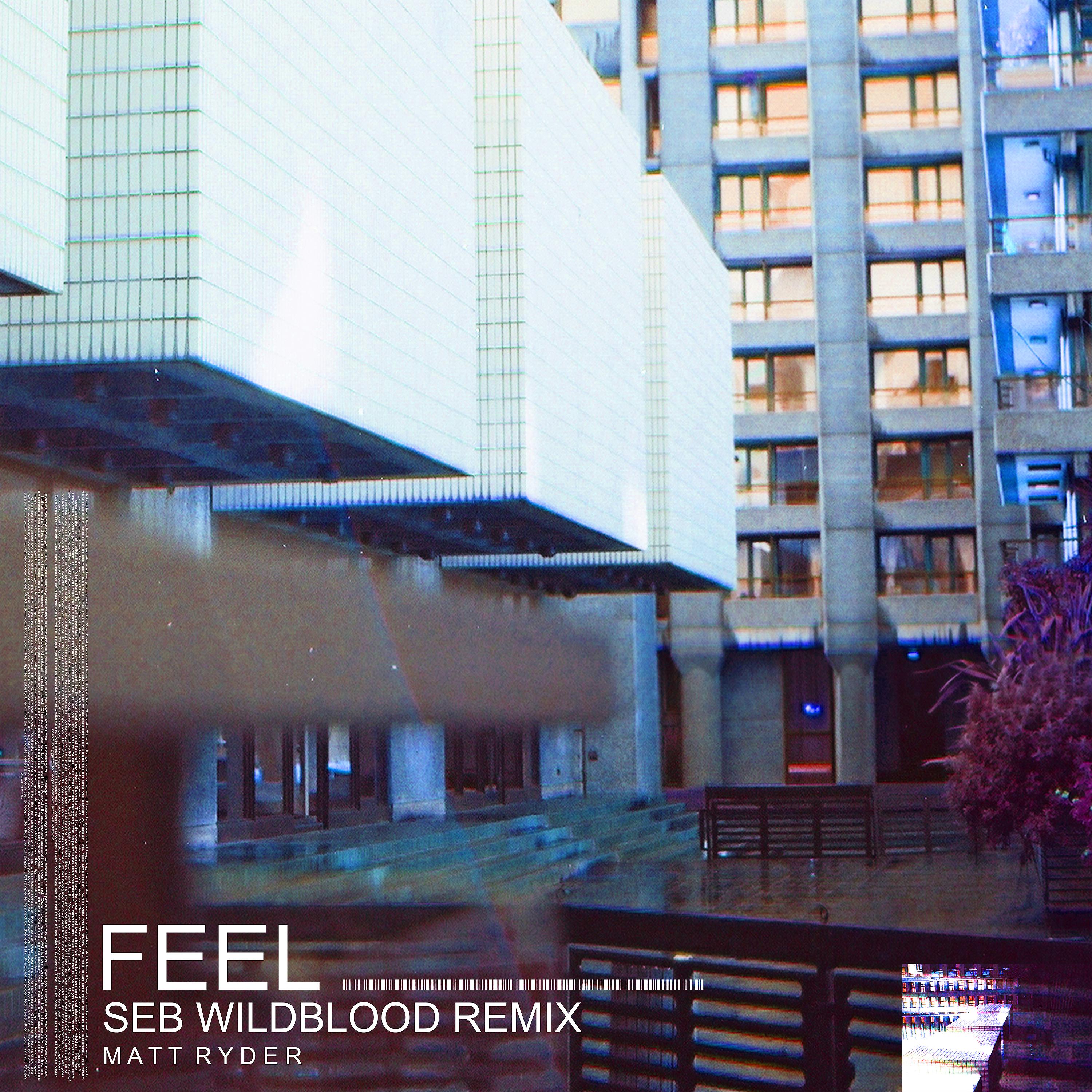 Постер альбома Feel (Seb Wildblood Remix)