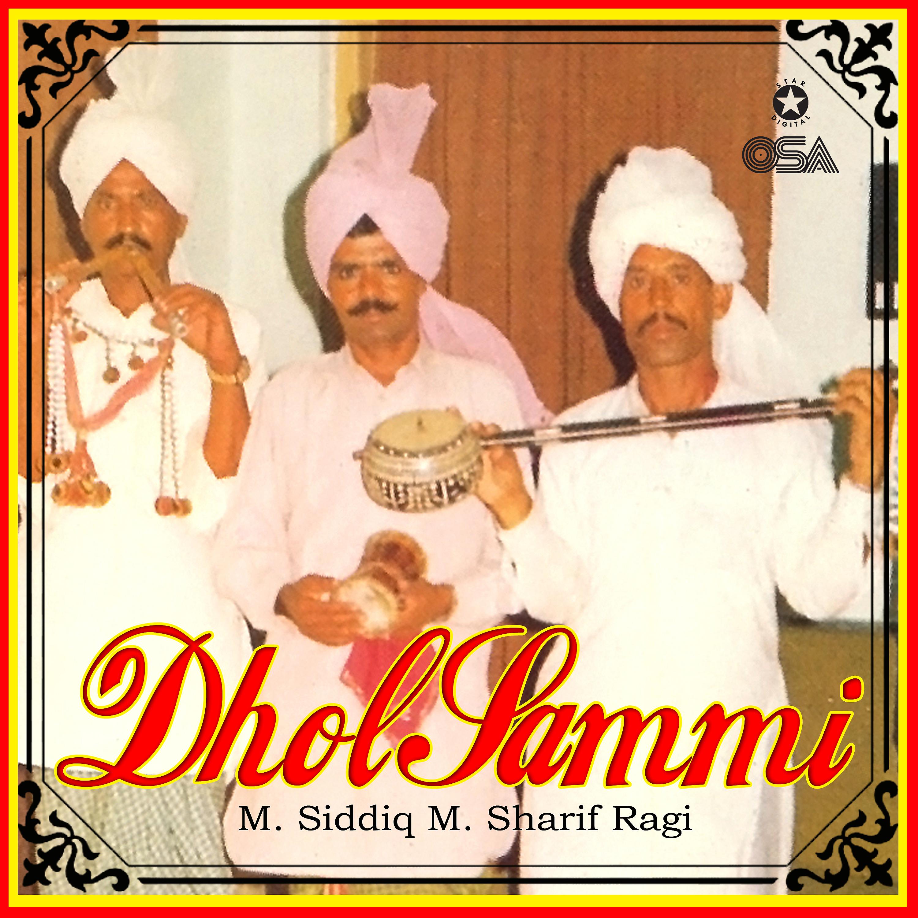 Постер альбома Dhol Sammi