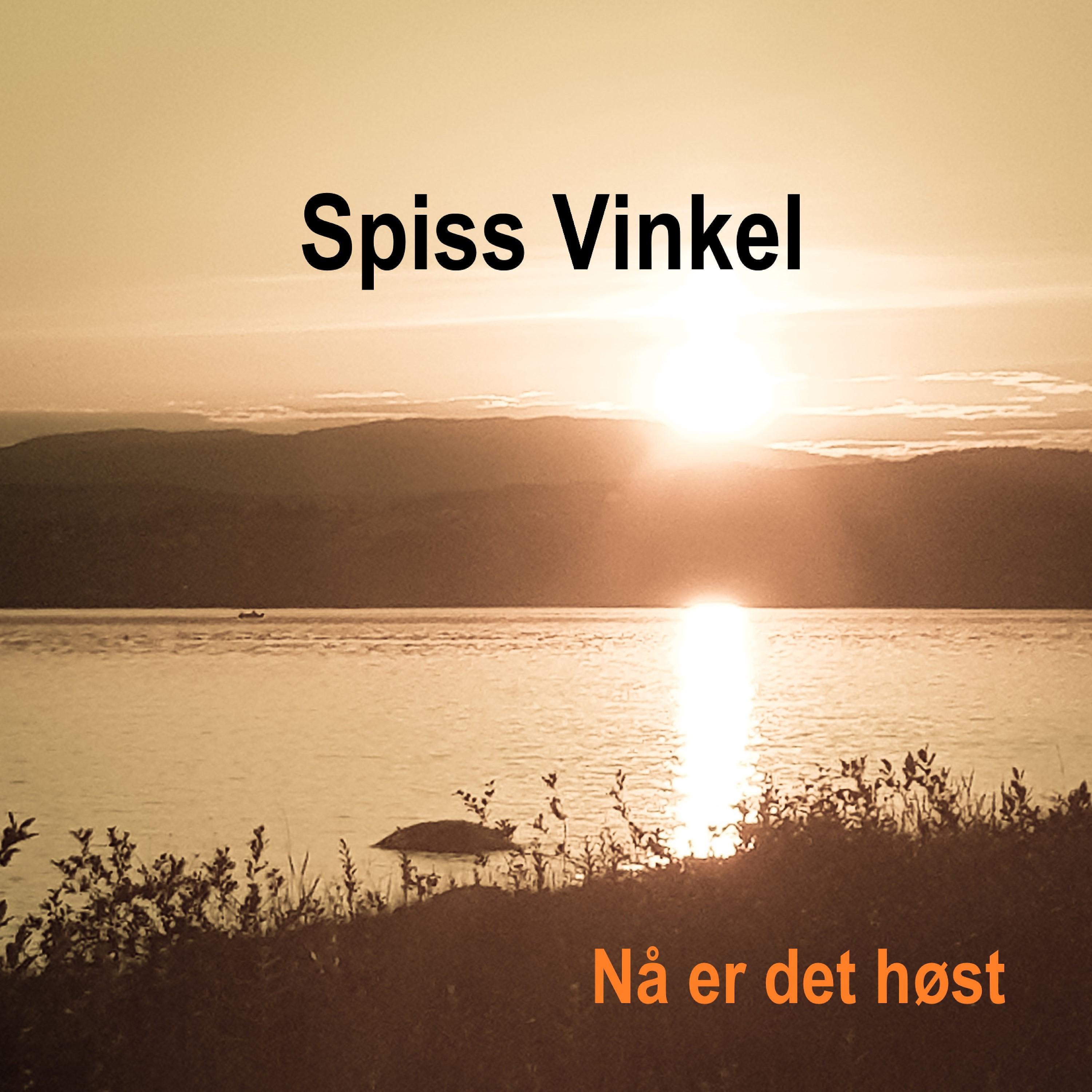 Постер альбома Nå er det høst
