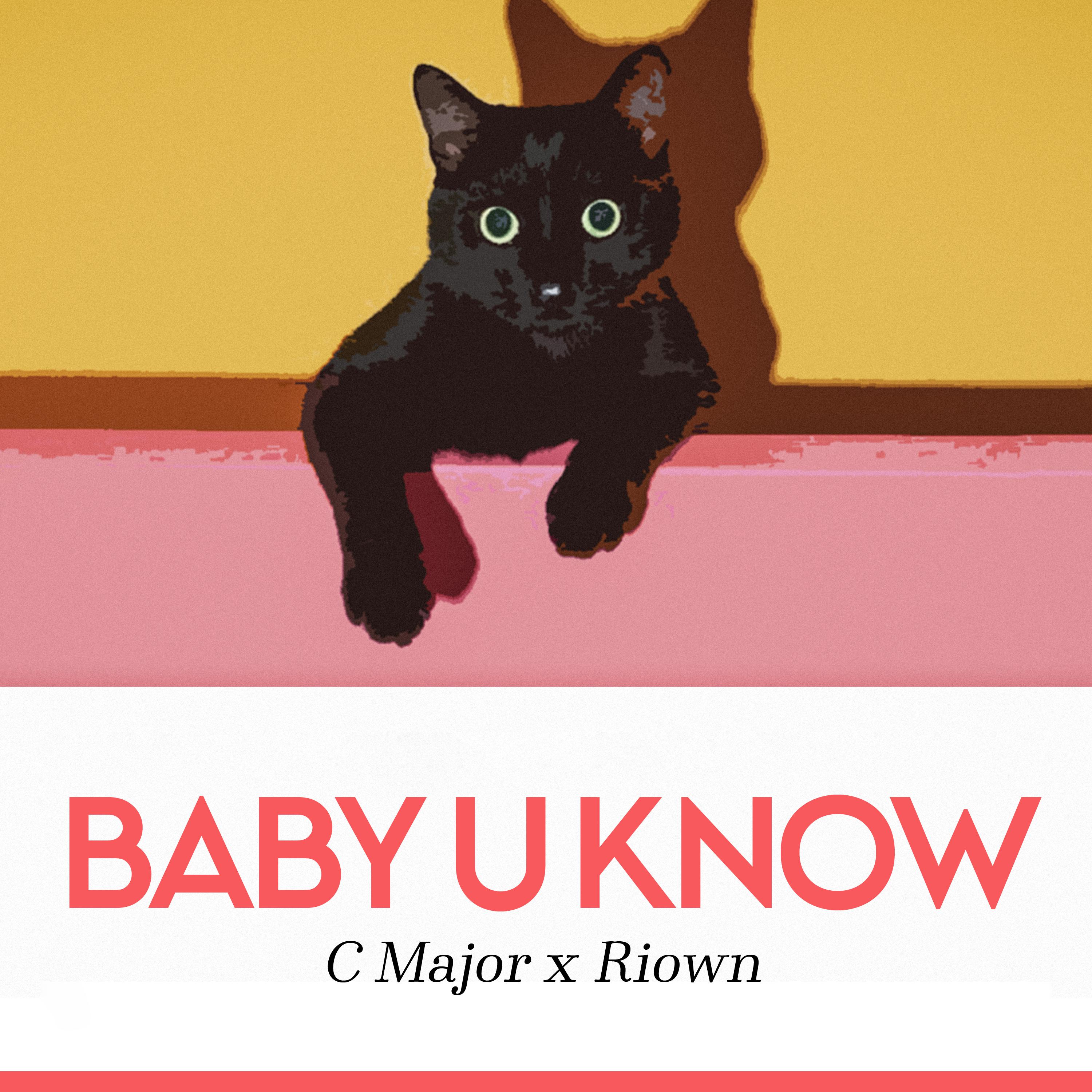 Постер альбома BaBy U Know