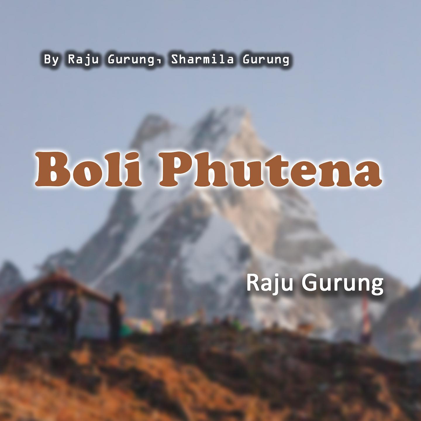 Постер альбома Boli Phutena