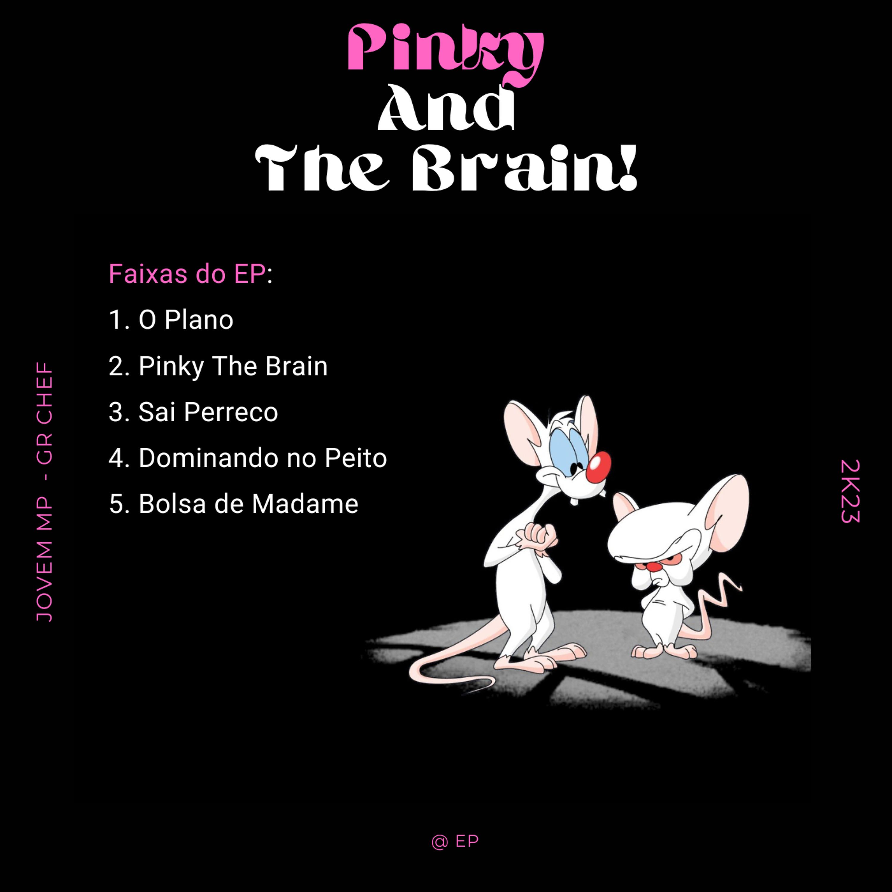 Постер альбома Pinky The Brain