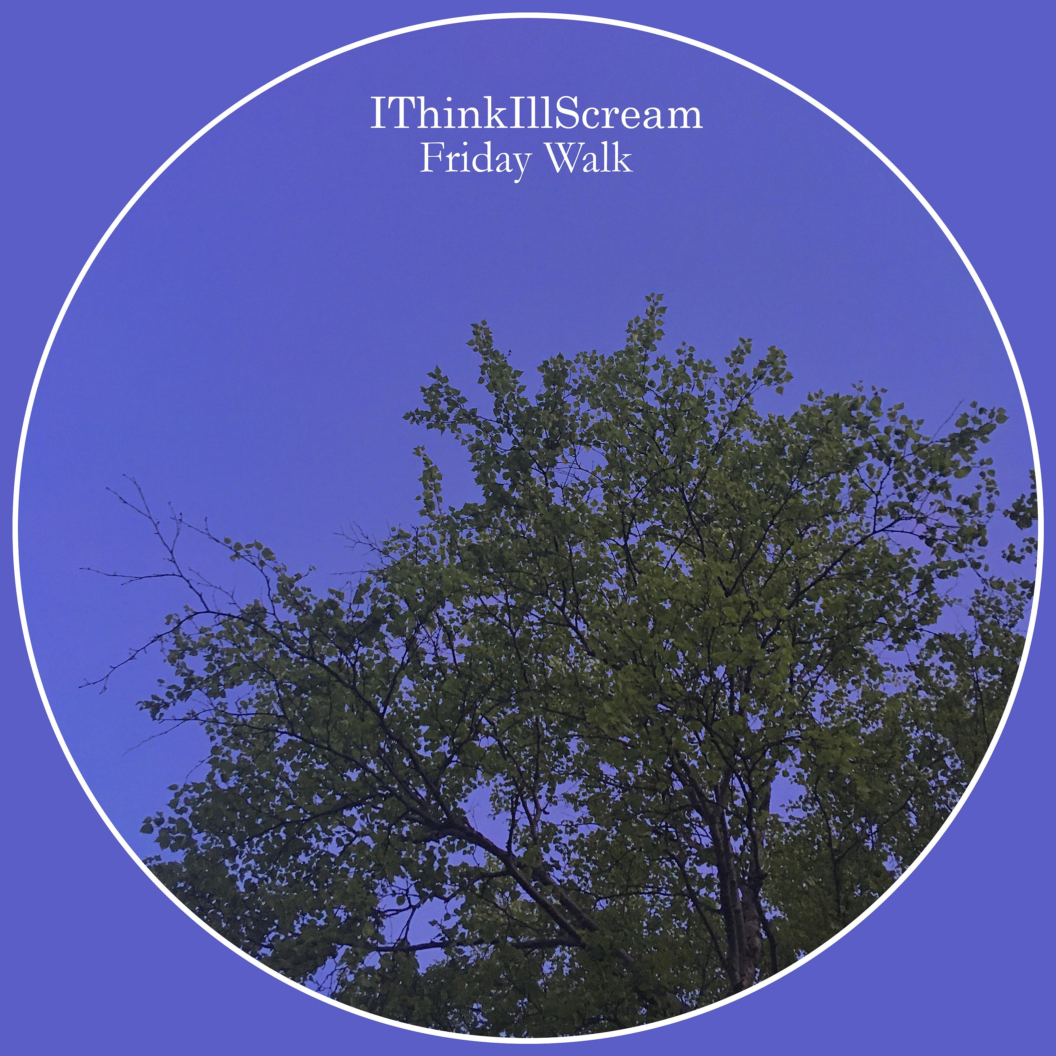 Постер альбома Friday Walk