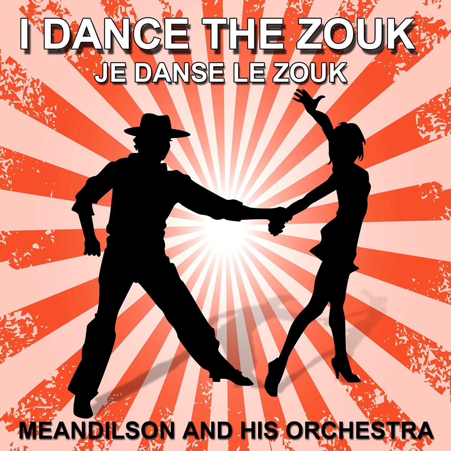 Постер альбома Je danse le zouk
