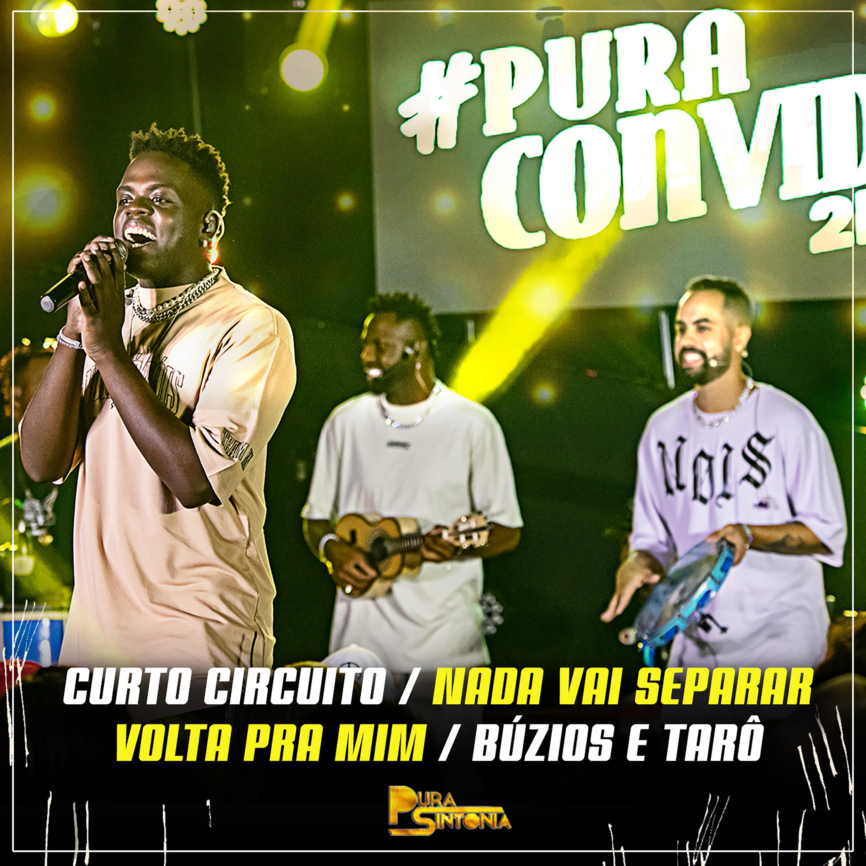 Постер альбома Curto Circuito / Nada Vai Separar / Volta pra Mim / Búzios e Tarô