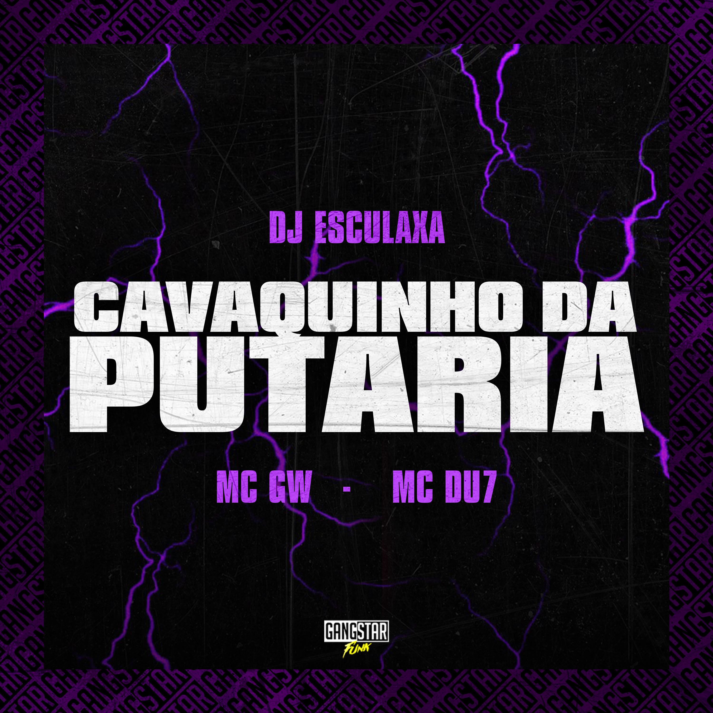 Постер альбома Cavaquinho da Putaria