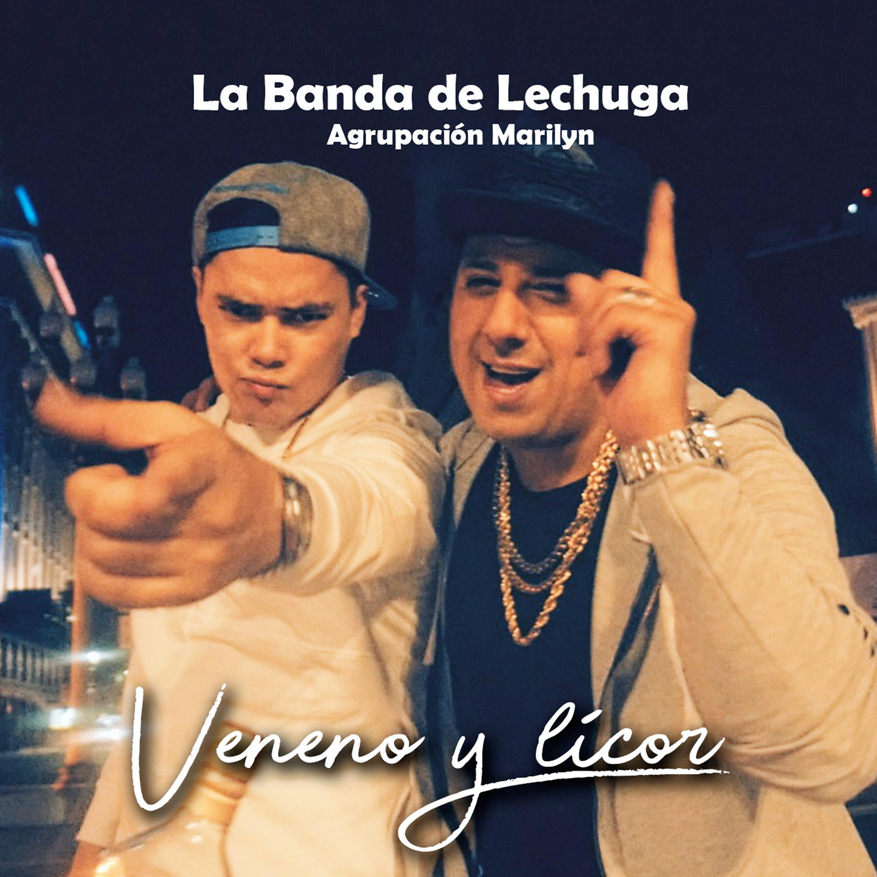 Постер альбома Veneno y Licor