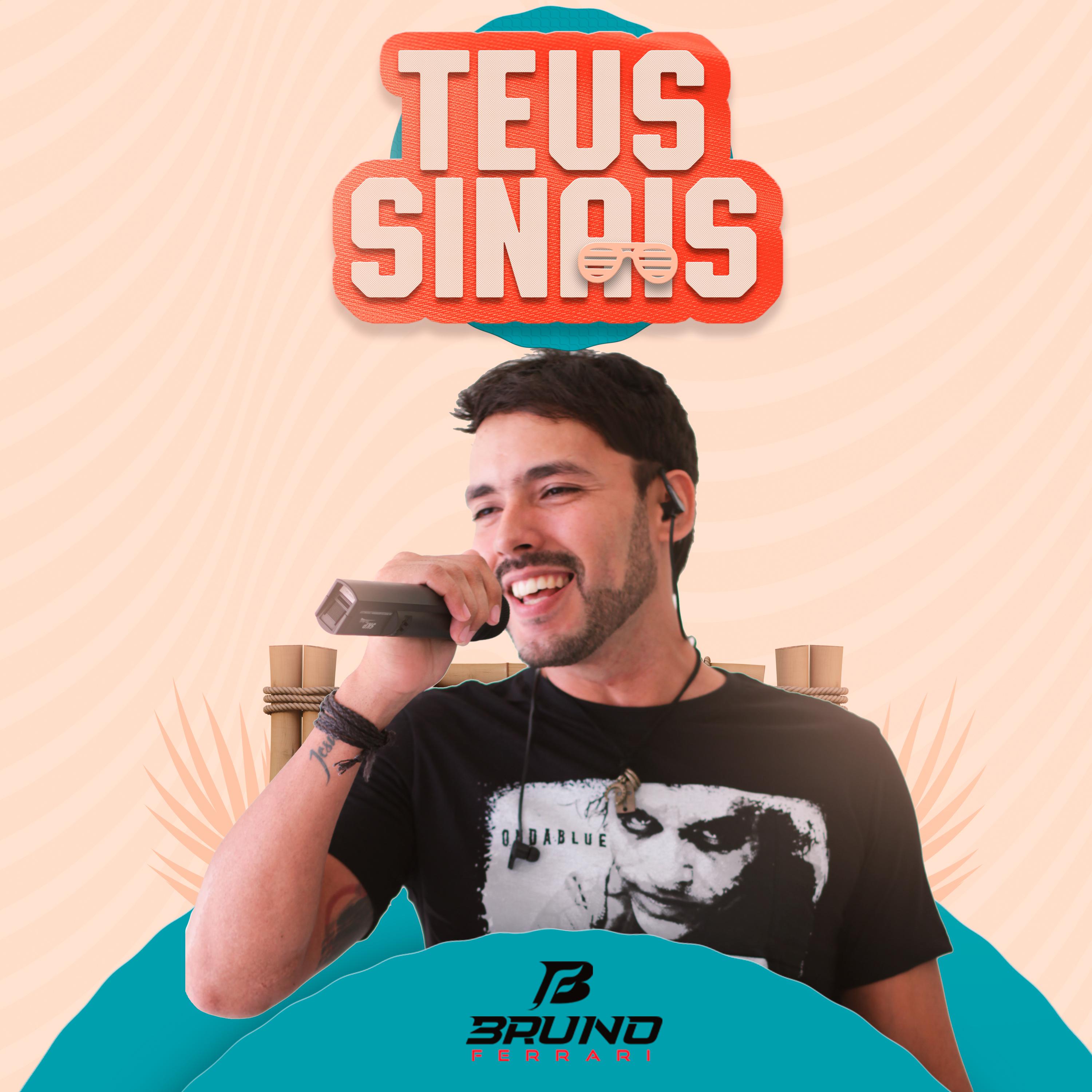 Постер альбома Teus Sinais