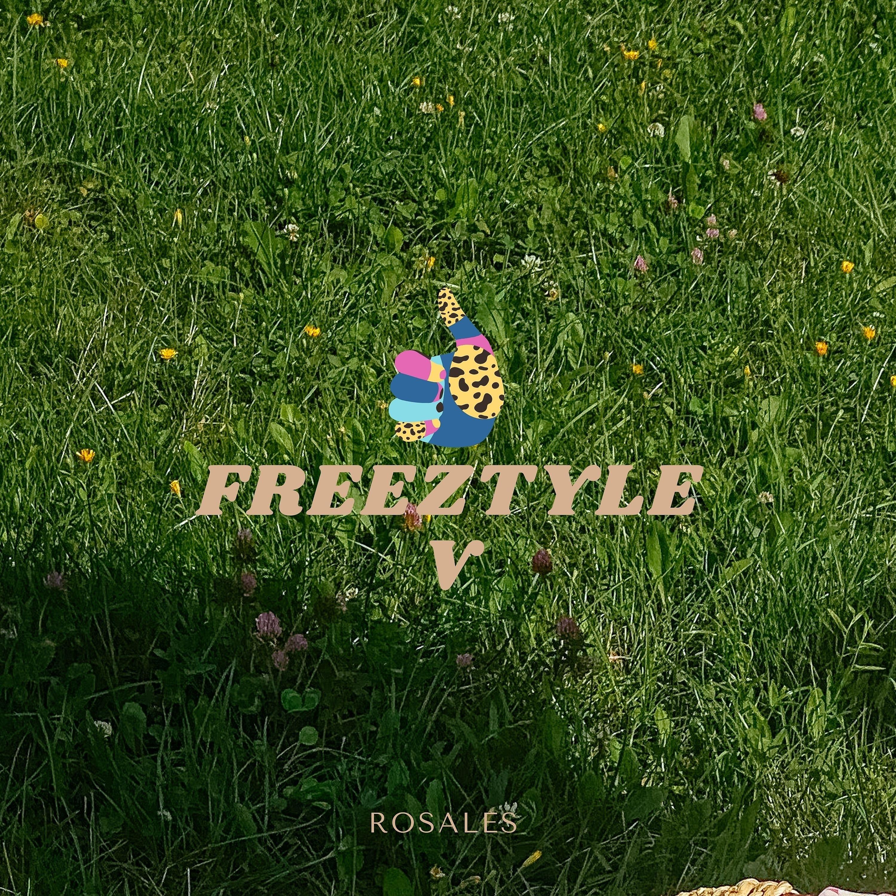 Постер альбома Freeztyle V